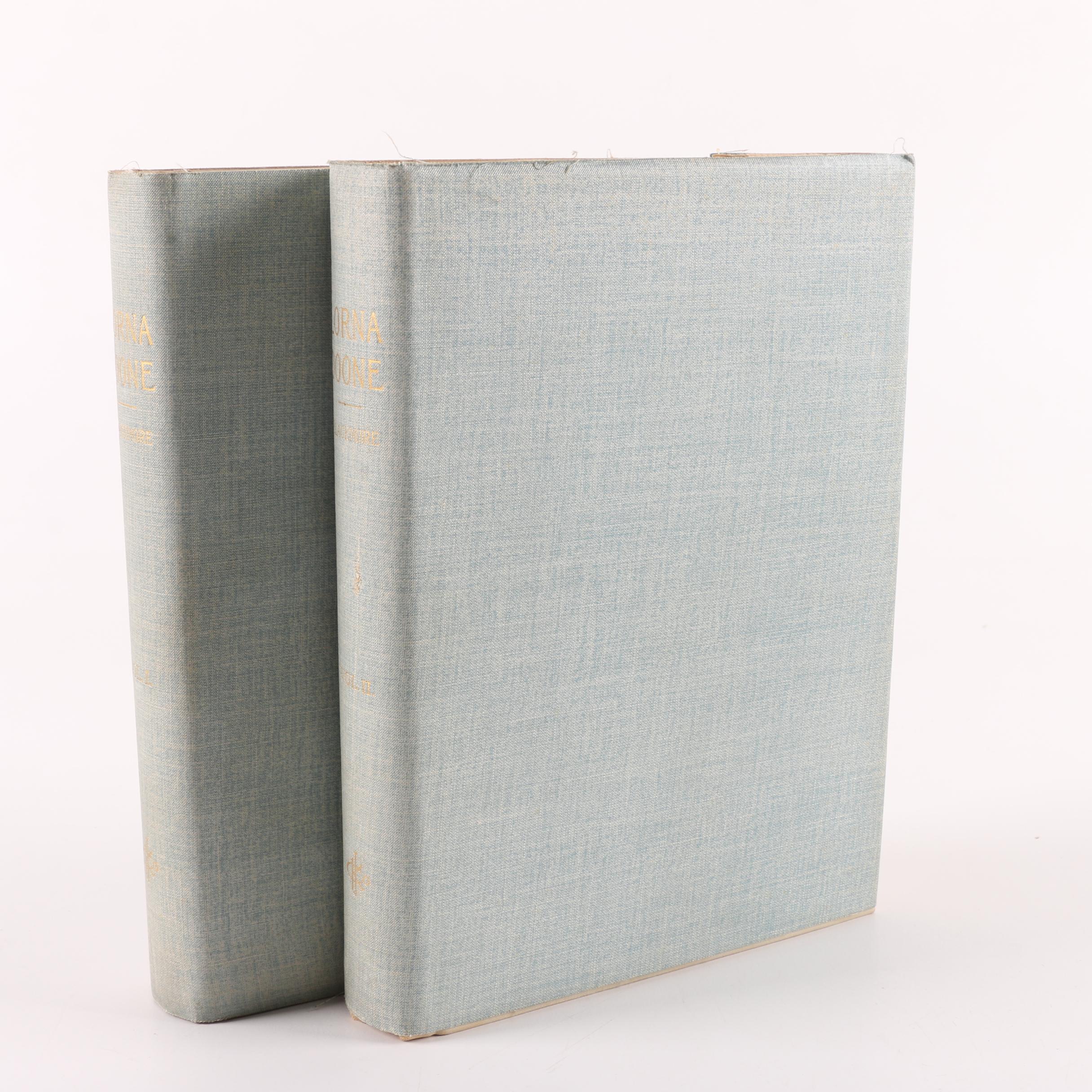 1893 "Lorna Doone" by R. D. Blackmore in Two Volumes