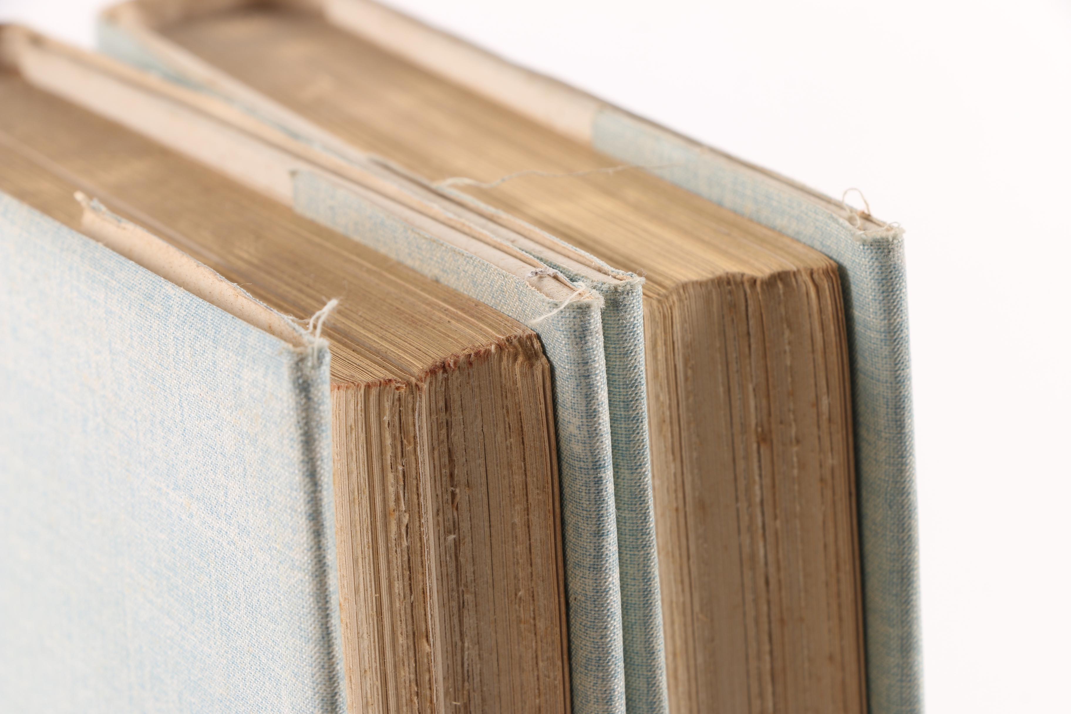 1893 "Lorna Doone" by R. D. Blackmore in Two Volumes