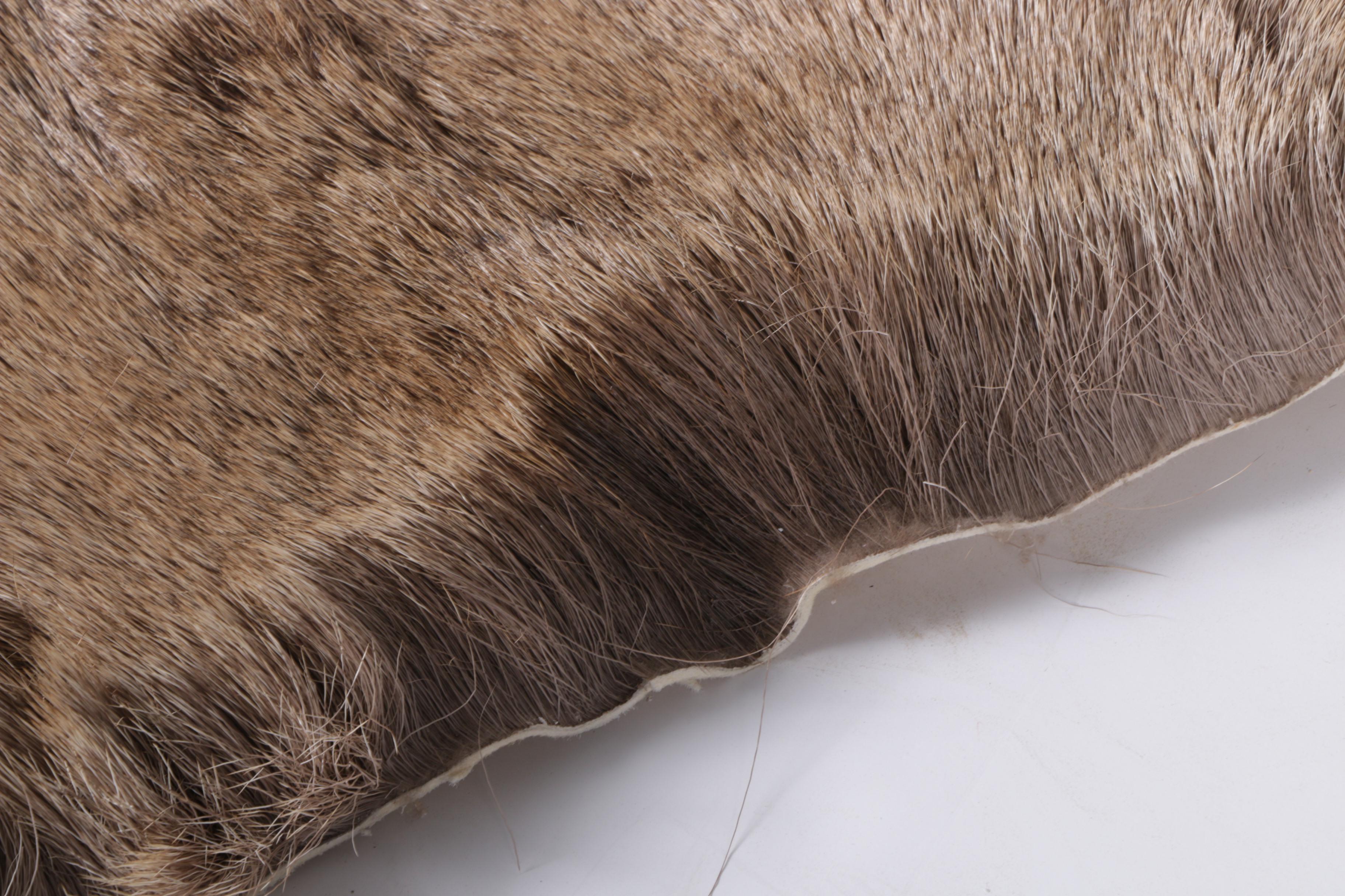 Deer Hide