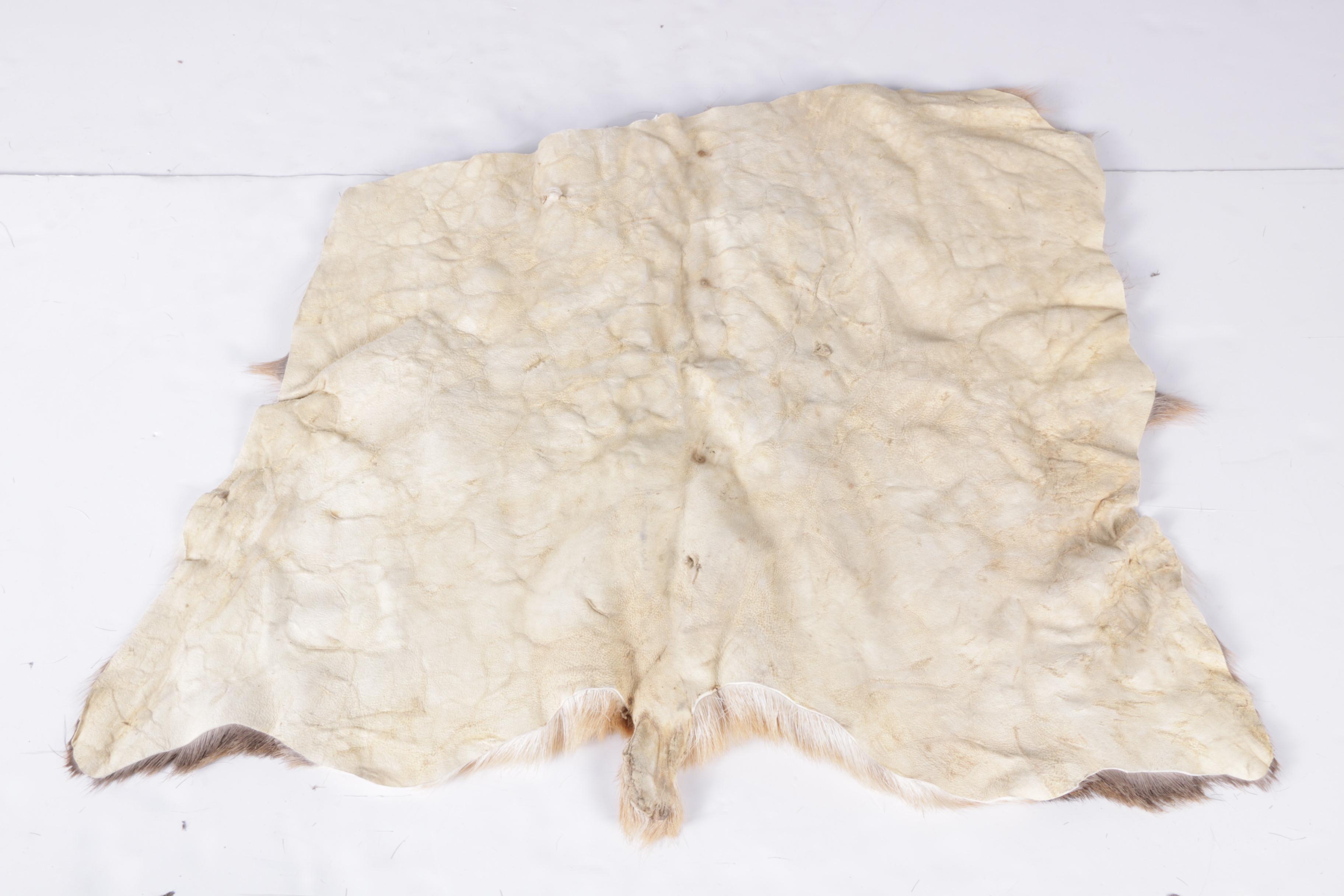Deer Hide