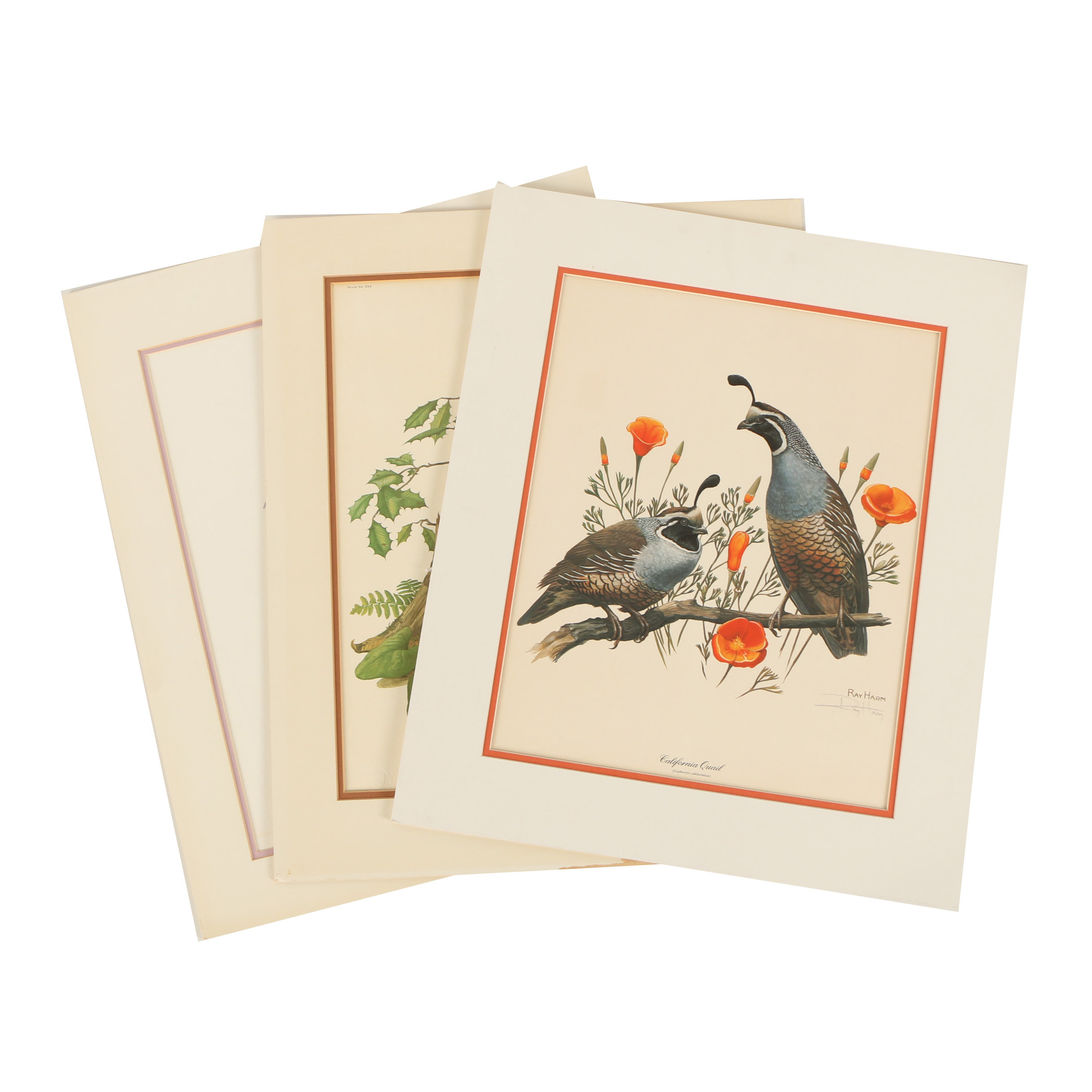 Ray Harm Offset Lithographs