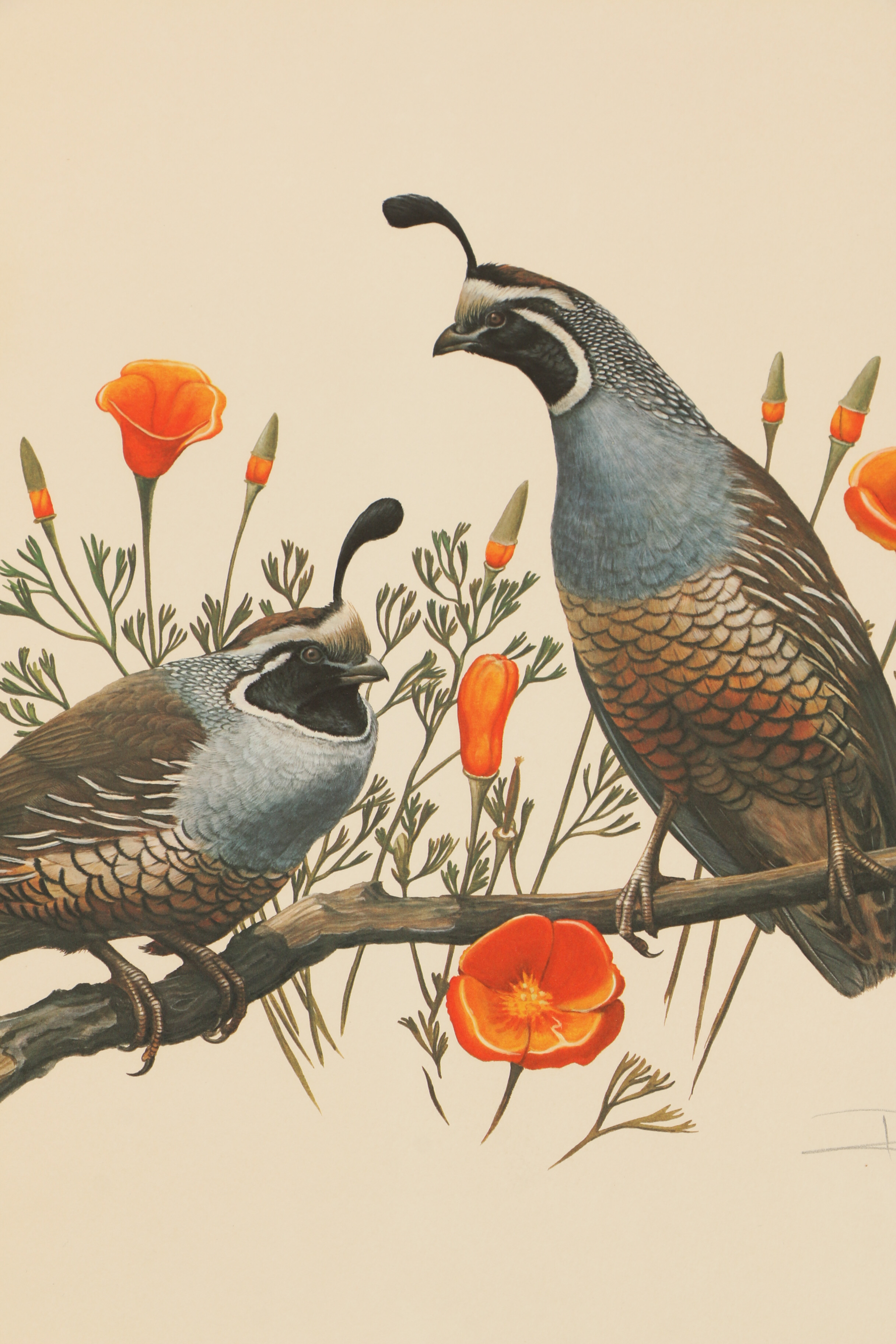 Ray Harm Offset Lithographs