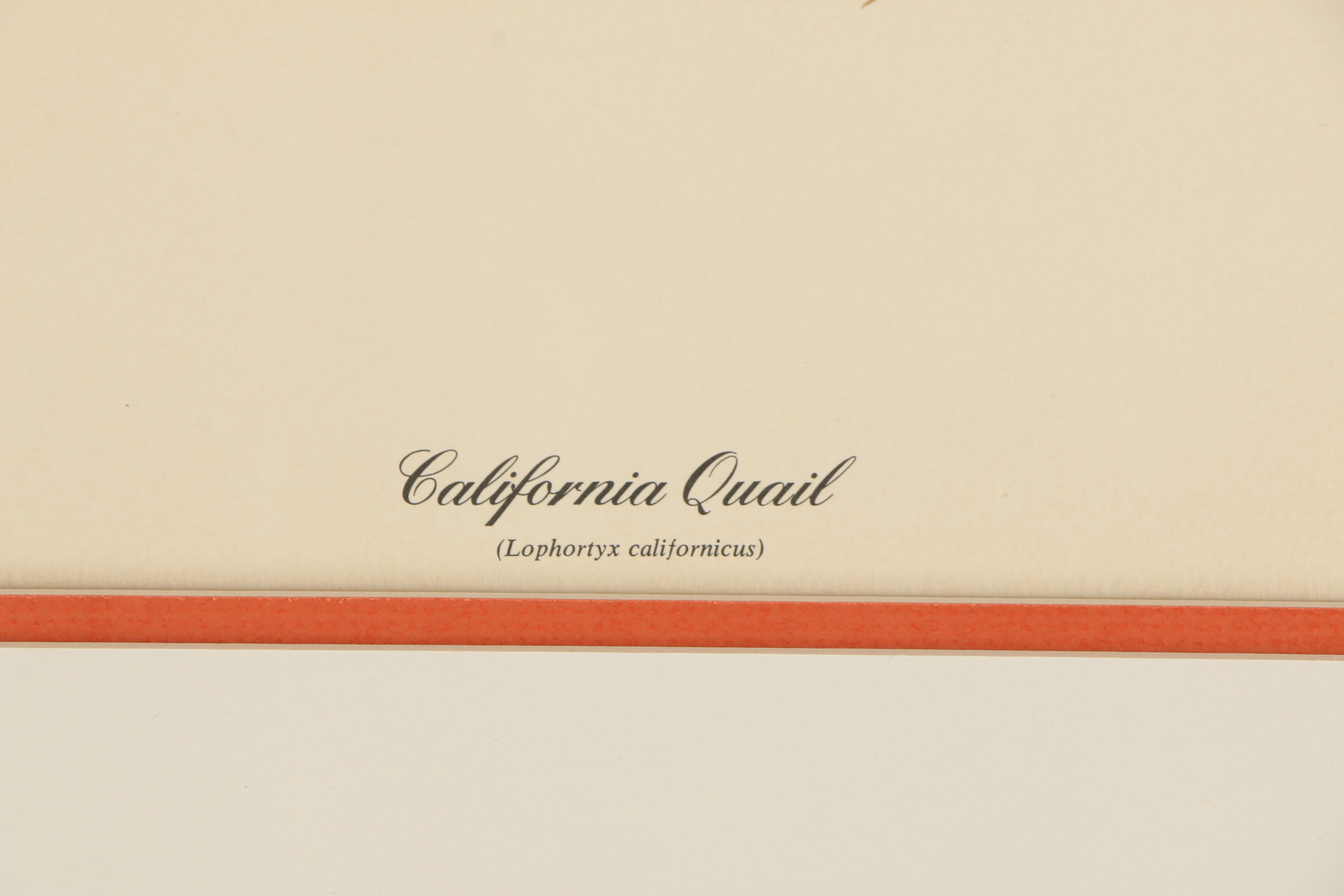 Ray Harm Offset Lithographs