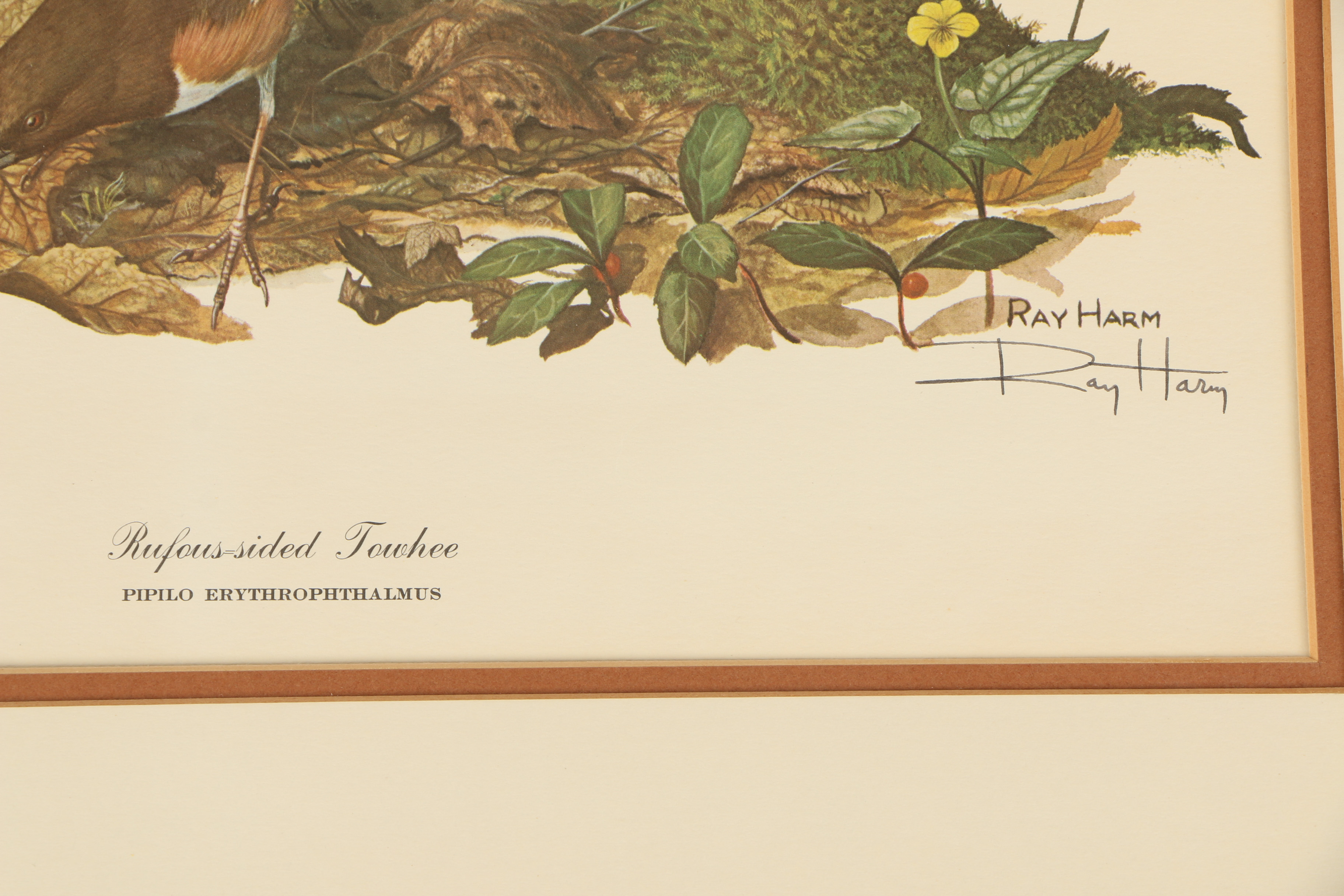 Ray Harm Offset Lithographs