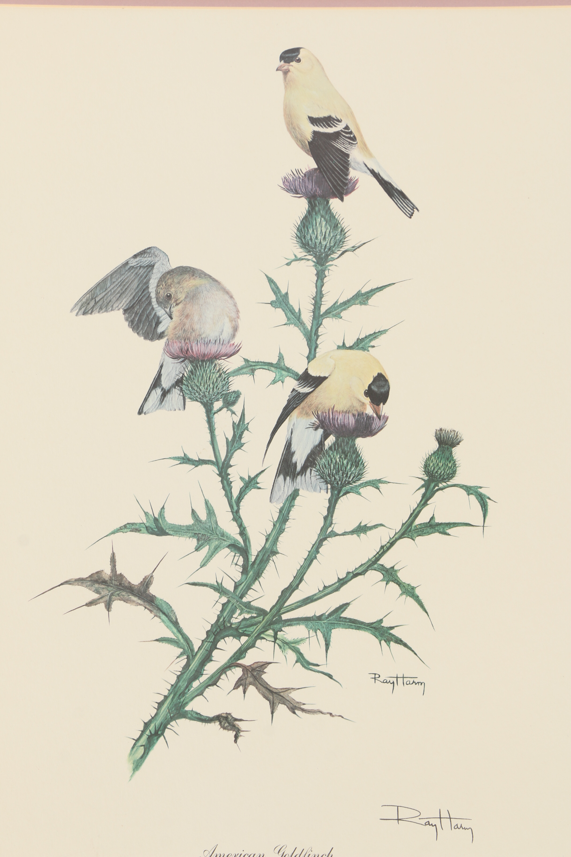 Ray Harm Offset Lithographs