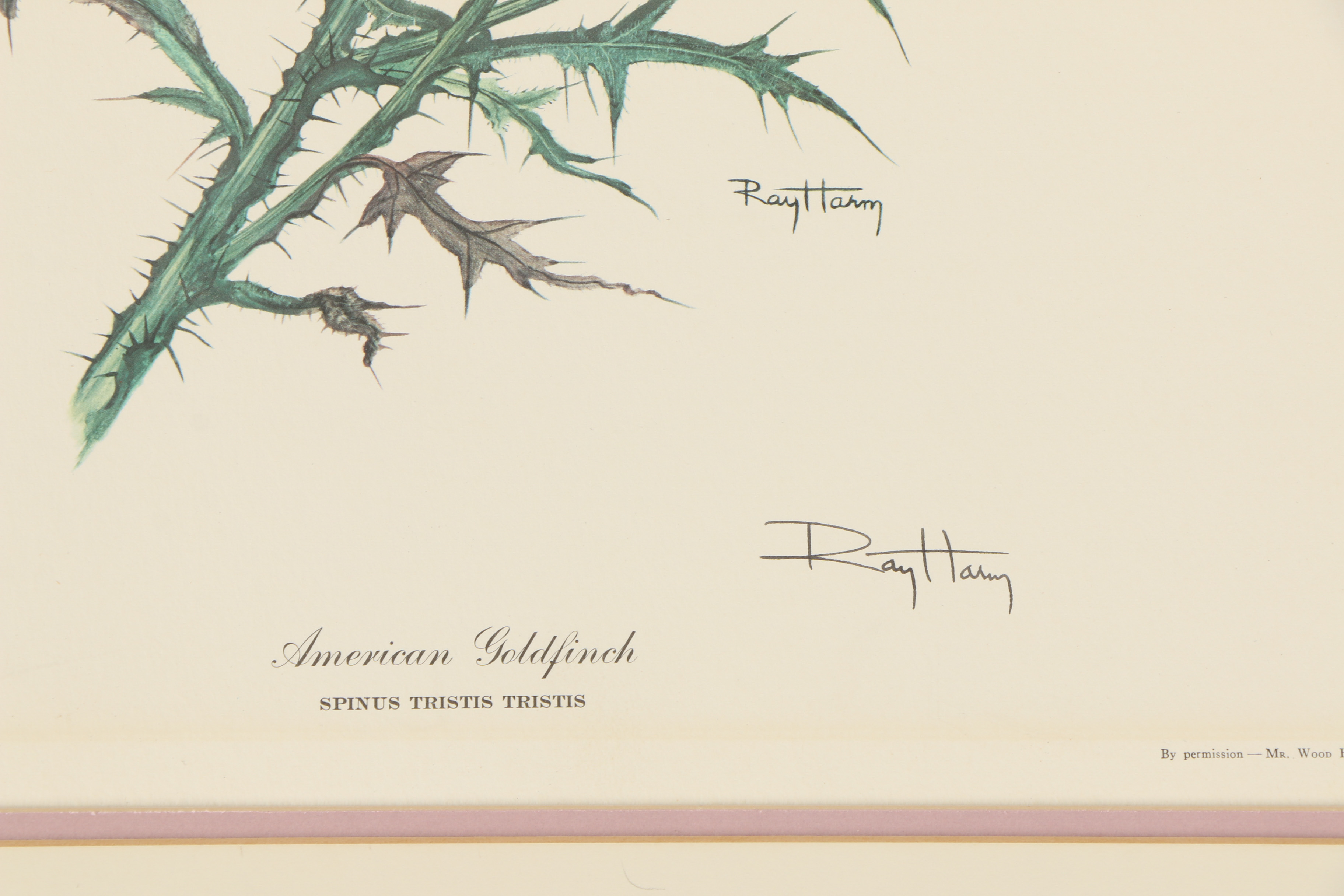 Ray Harm Offset Lithographs