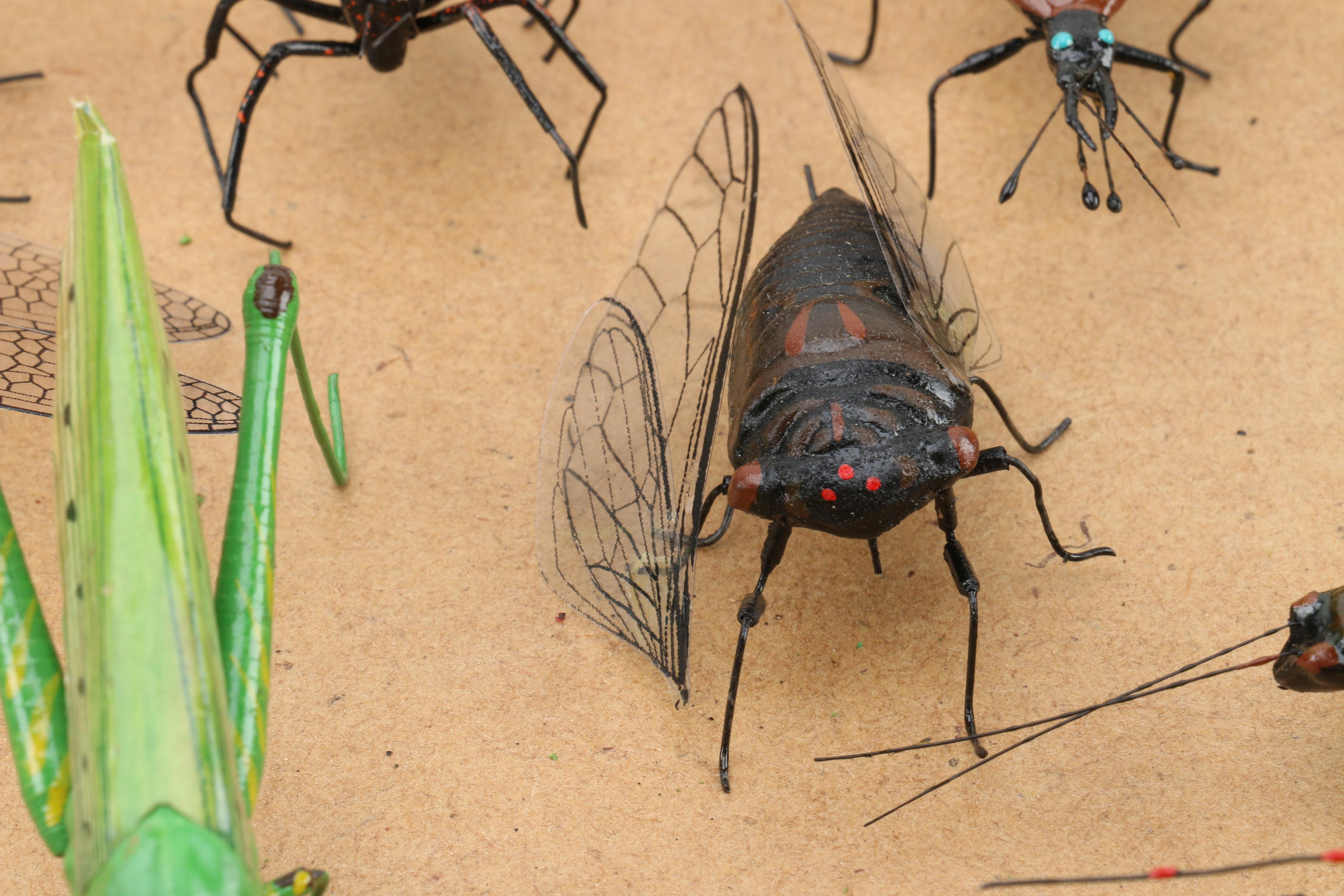 Toy Insects