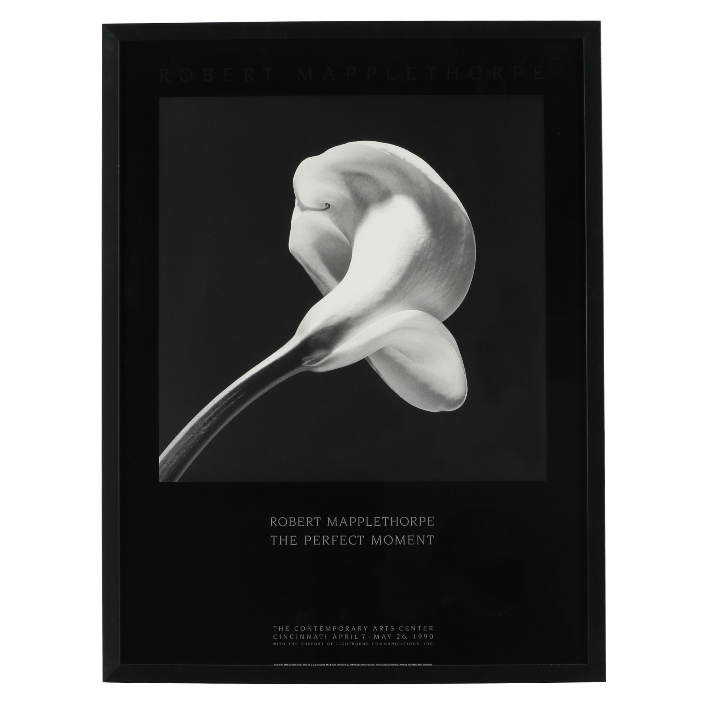 Robert Mapplethorpe Exhibition Poster