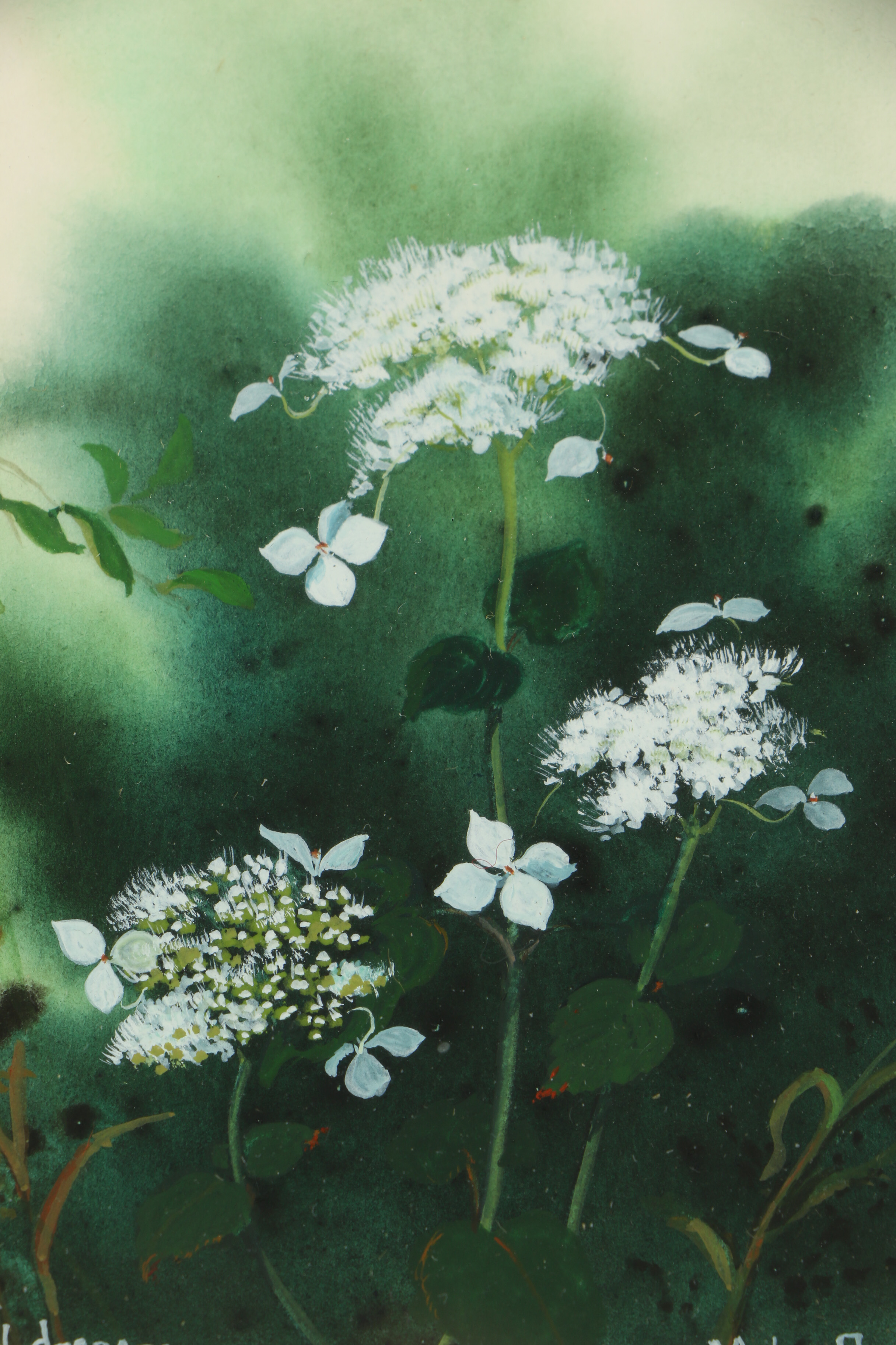 Watercolor and Gouache Paintings Featuring Michiko Boorman