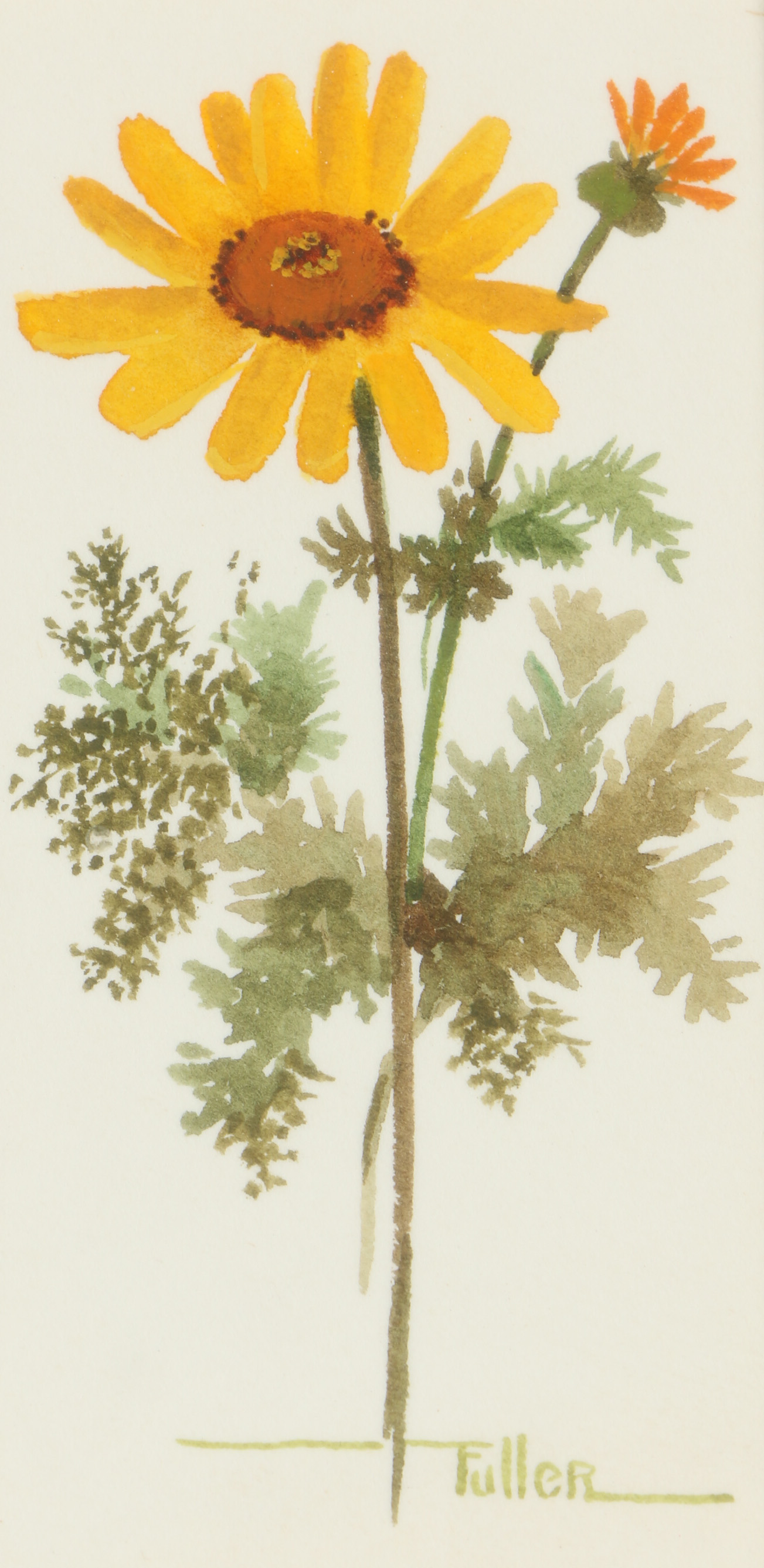 Watercolor and Gouache Paintings Featuring Michiko Boorman