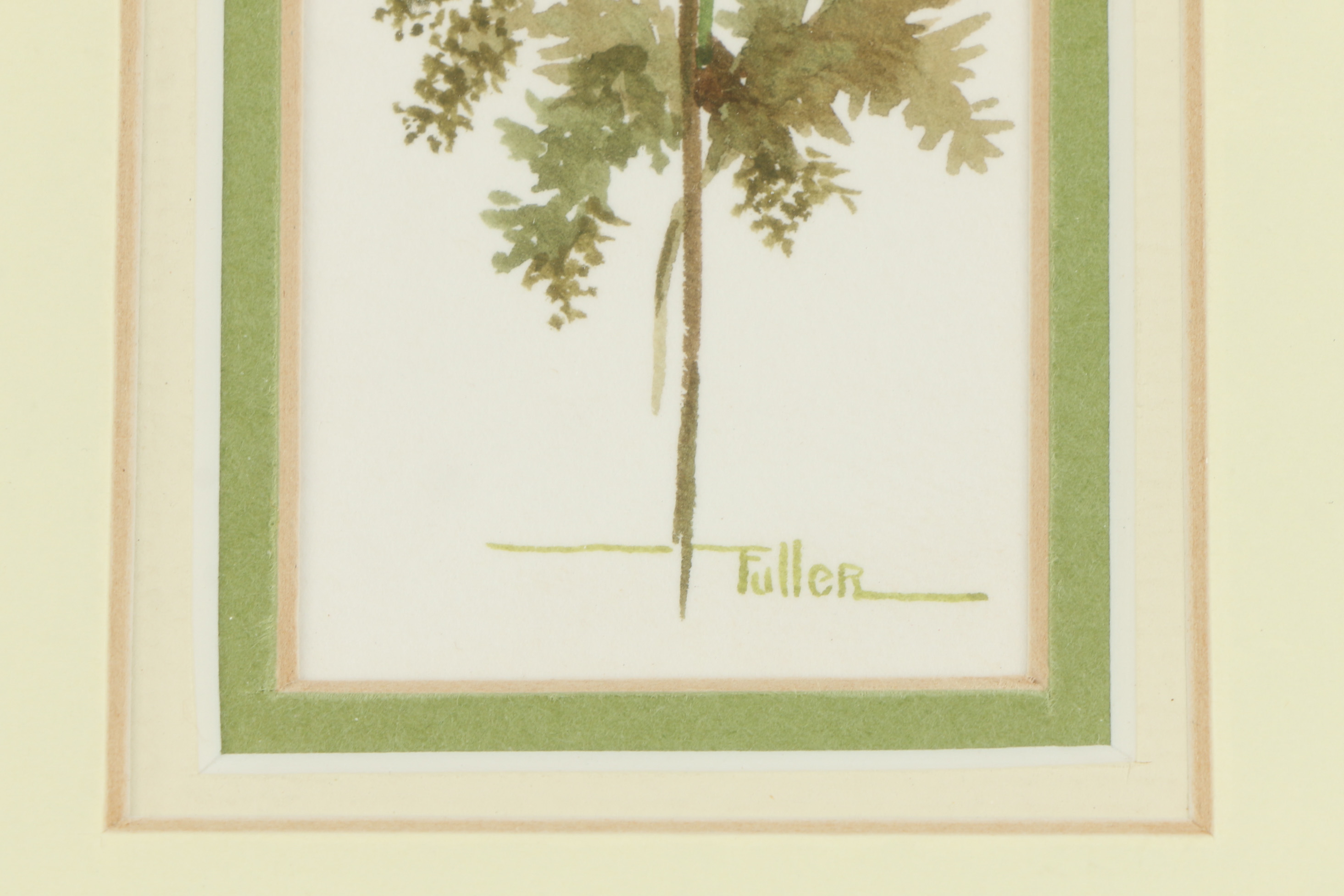 Watercolor and Gouache Paintings Featuring Michiko Boorman