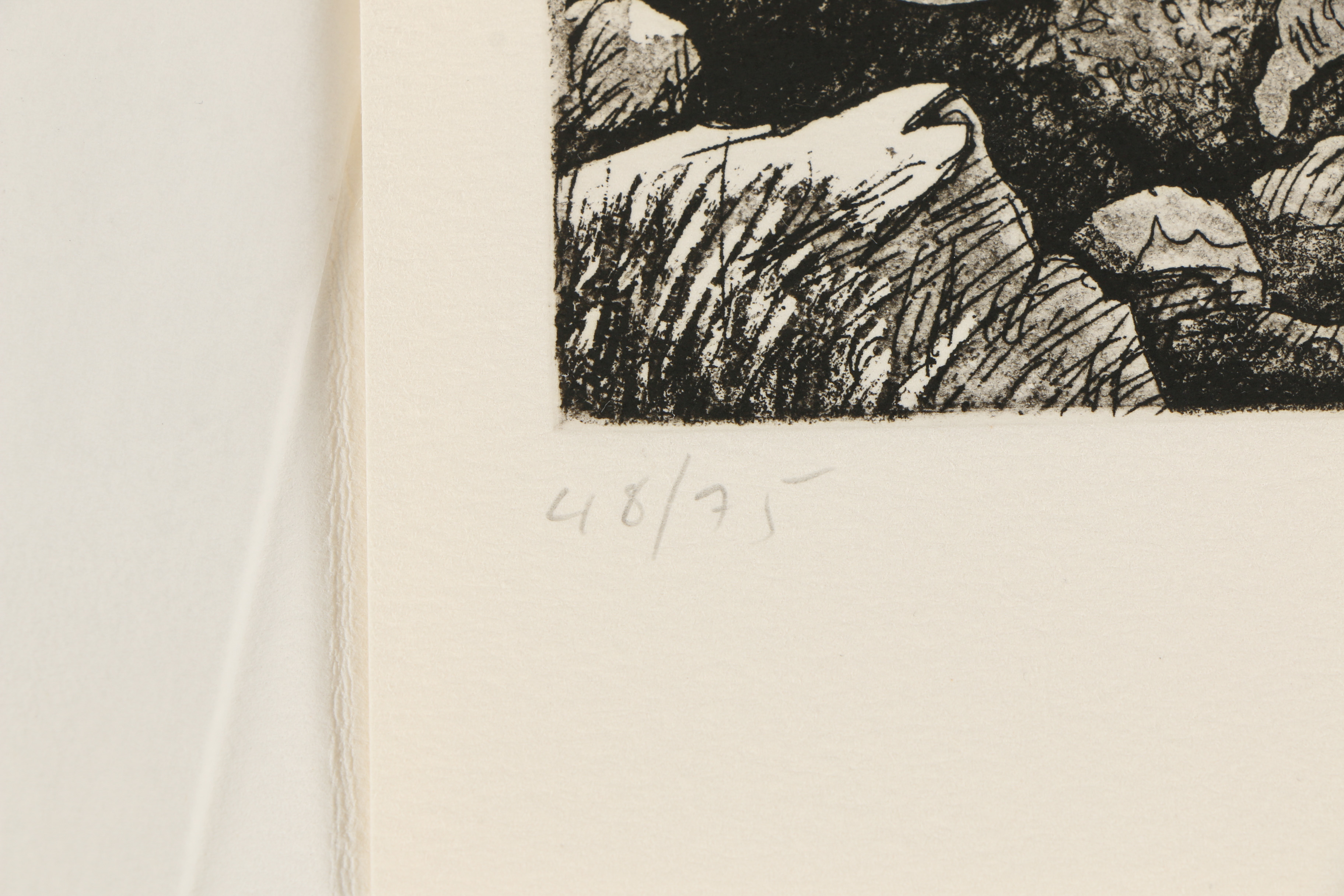 Alexis Rockman Etching "Romantic Attachments"