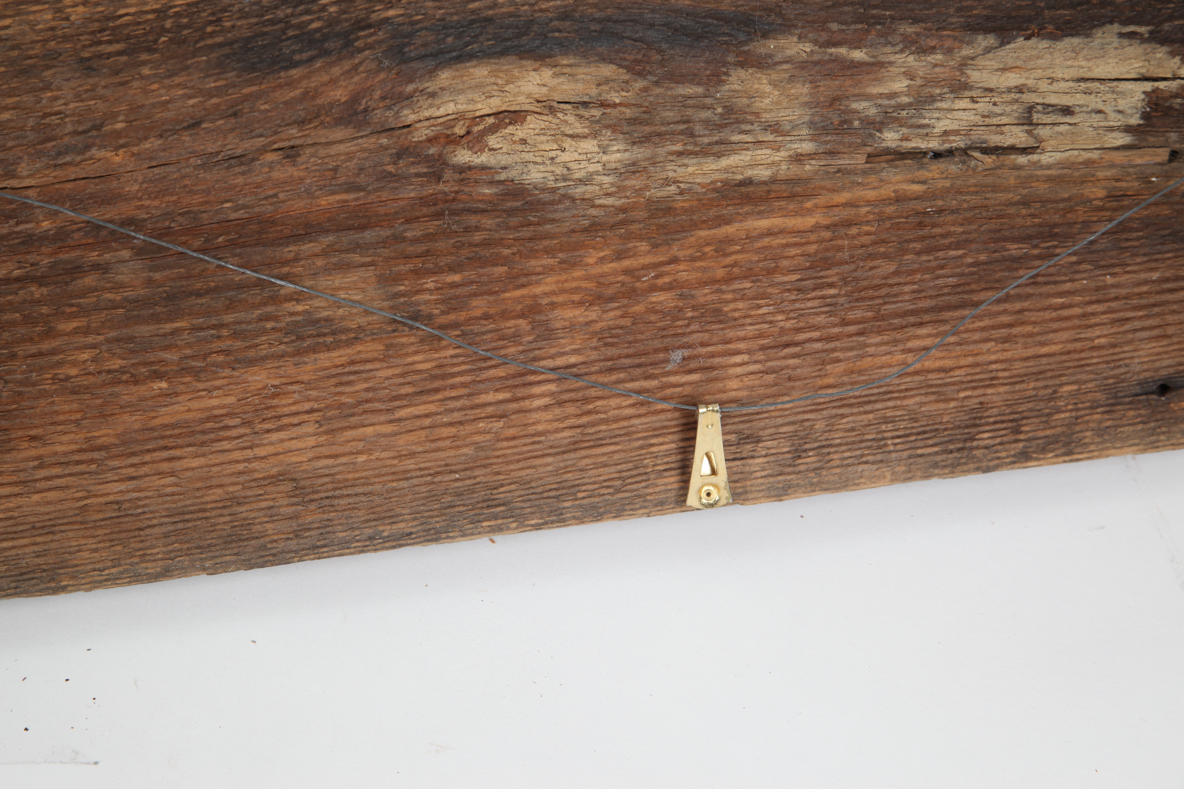 Taxidermy Rattlesnake