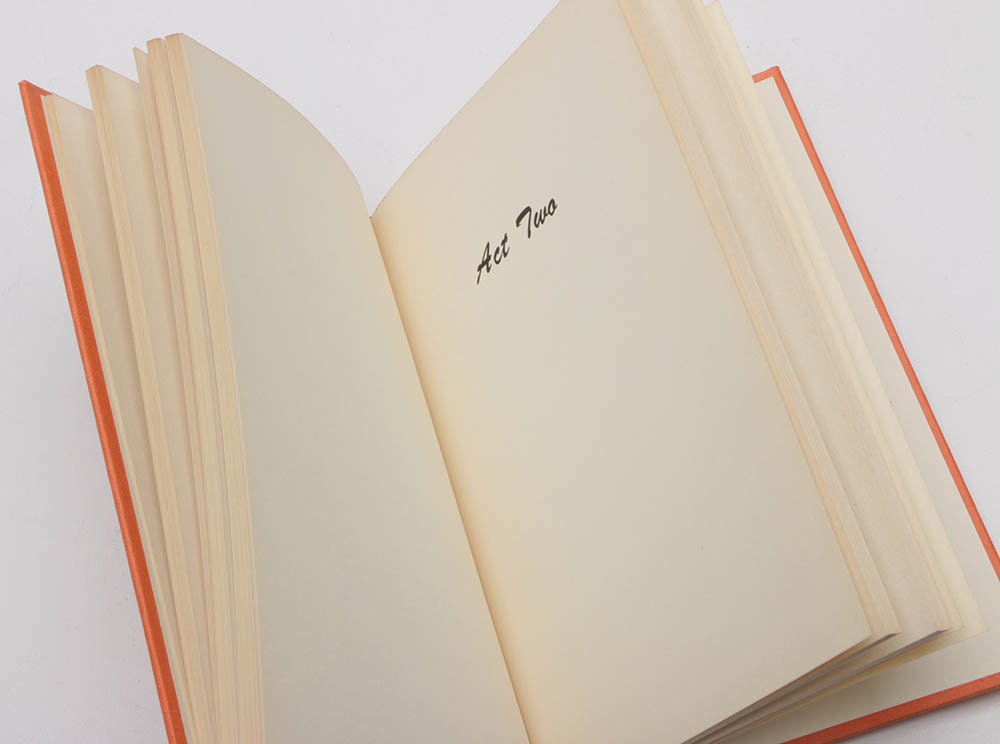 1962 First Trade Edition "Bye Bye Birdie"