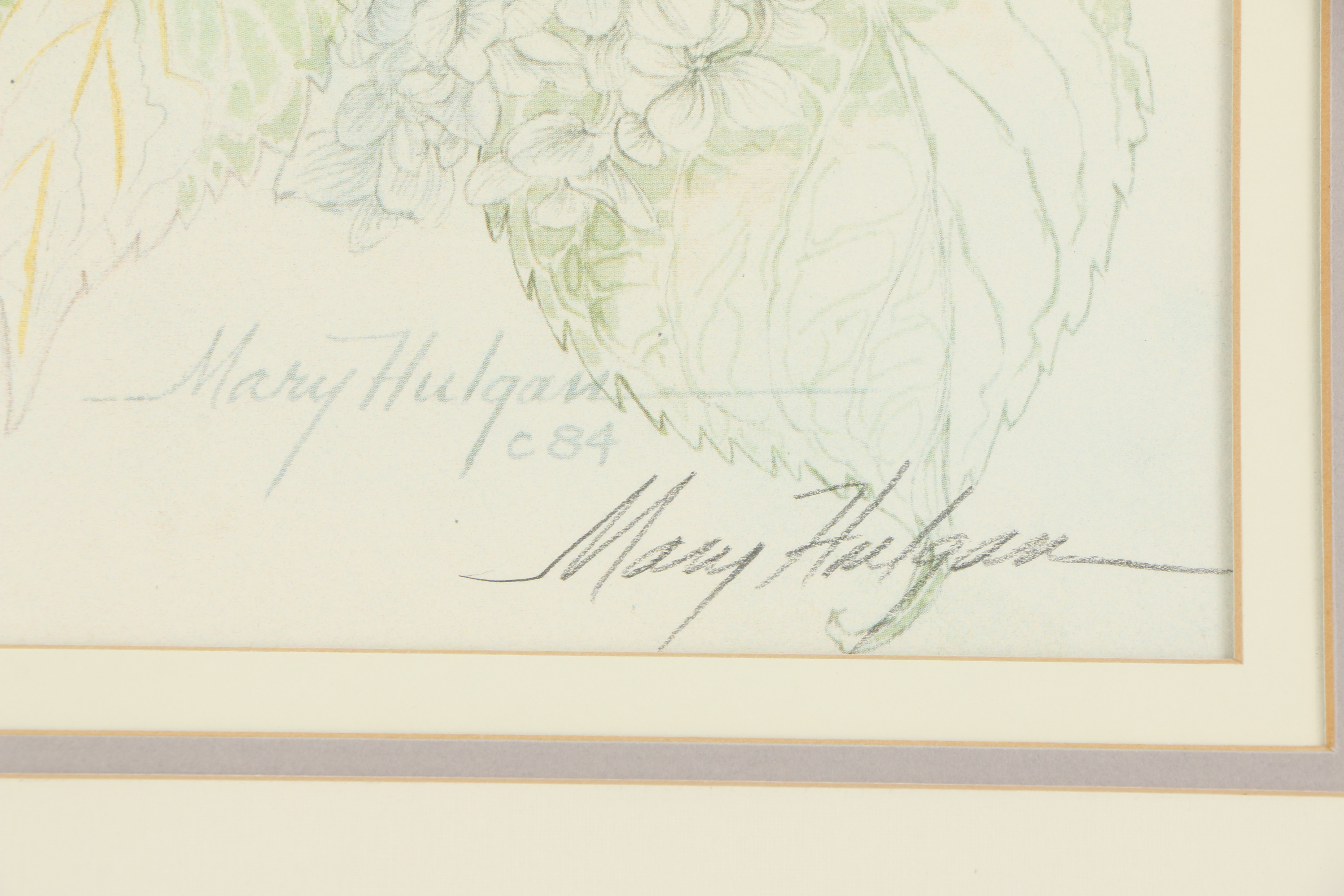 Mary Hulgan Offset Lithographic Print "Honeymoon Hydrangea"
