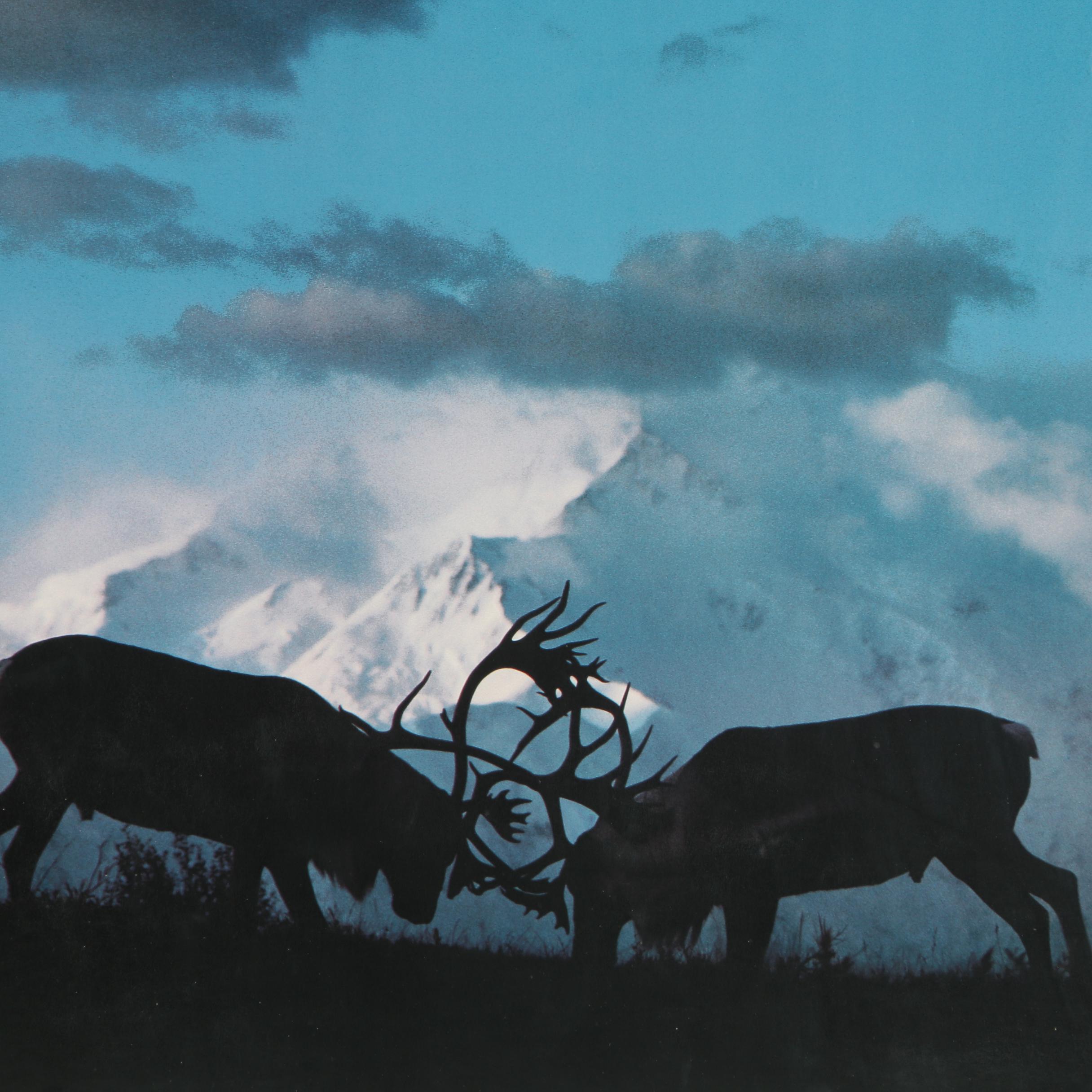Sierra Club Poster from Wildlife Series of Elk