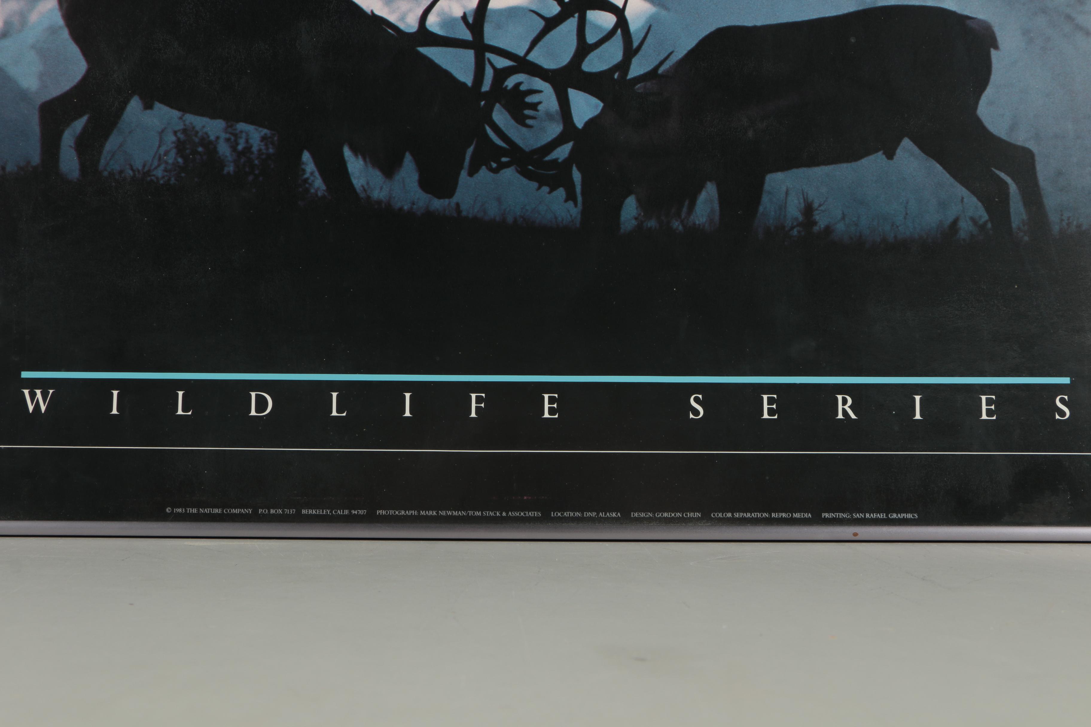 Sierra Club Poster from Wildlife Series of Elk