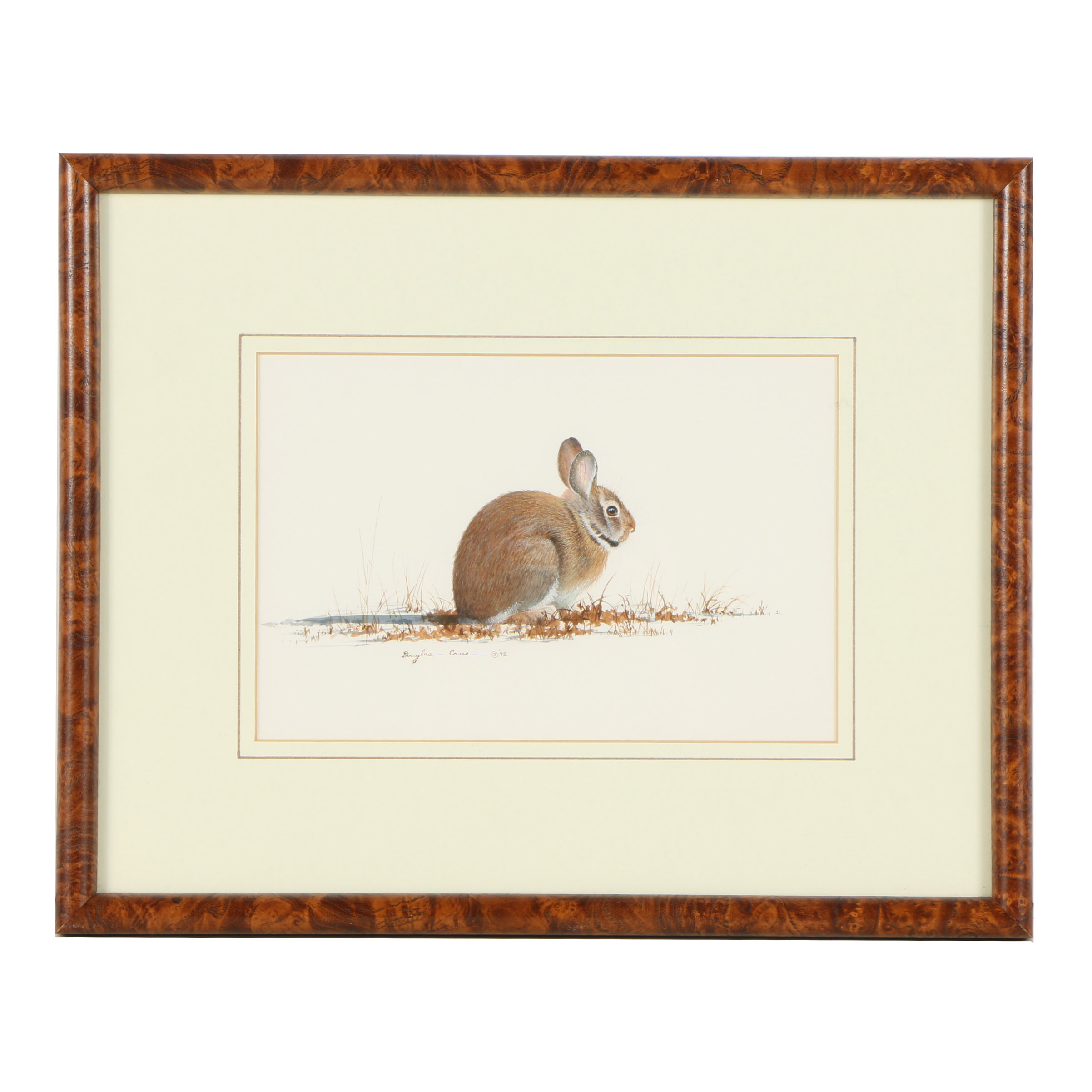 Douglas Cave Watercolor Painting