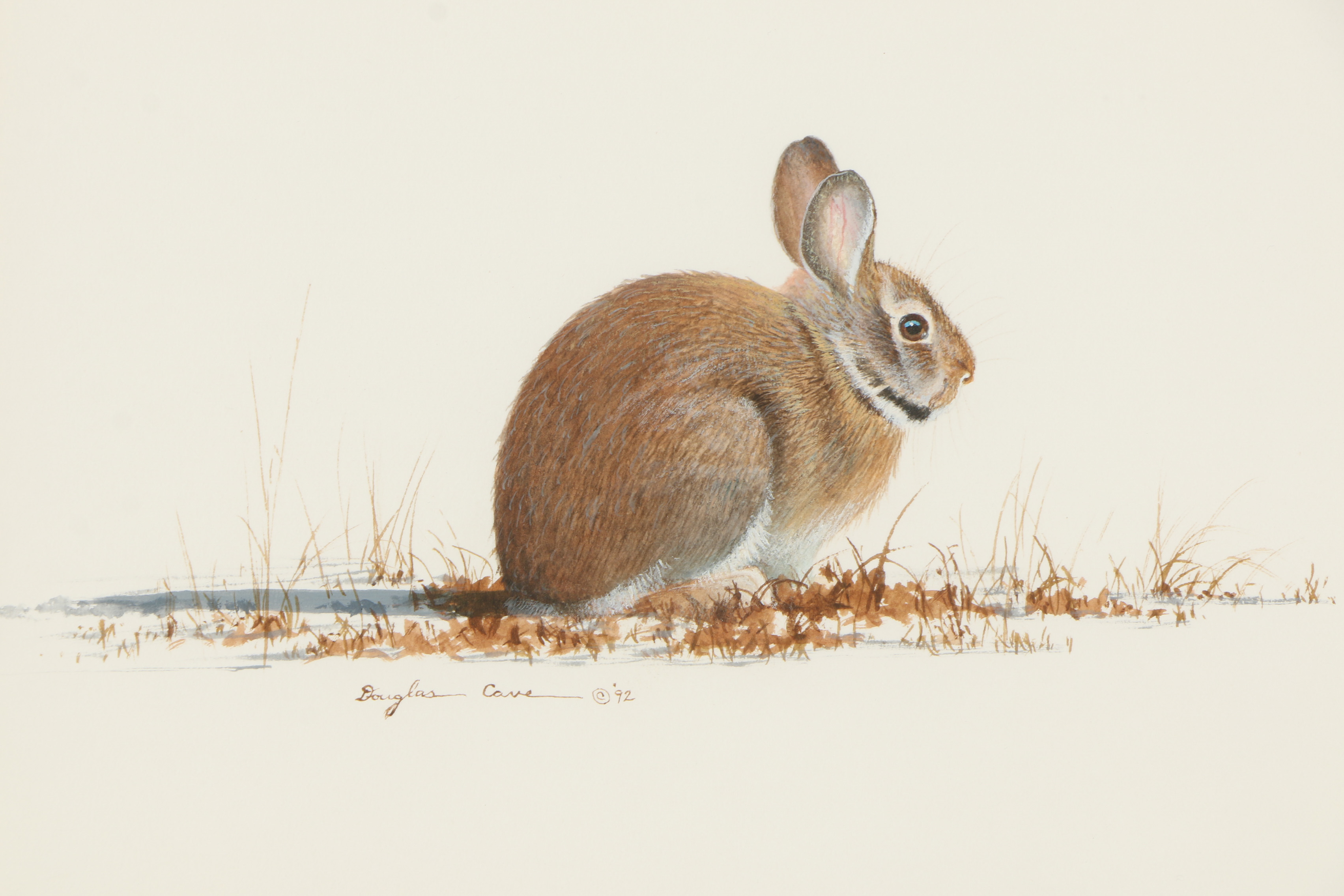 Douglas Cave Watercolor Painting