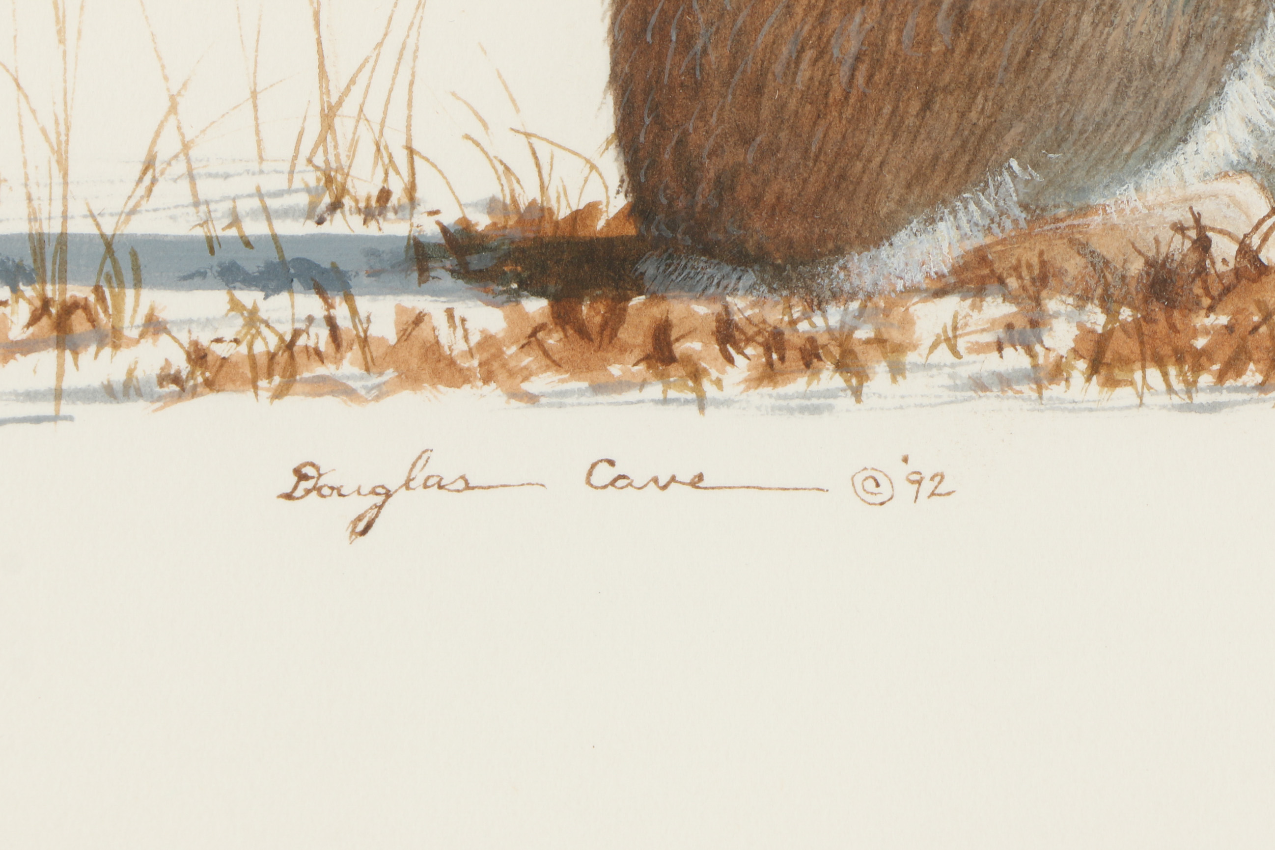 Douglas Cave Watercolor Painting