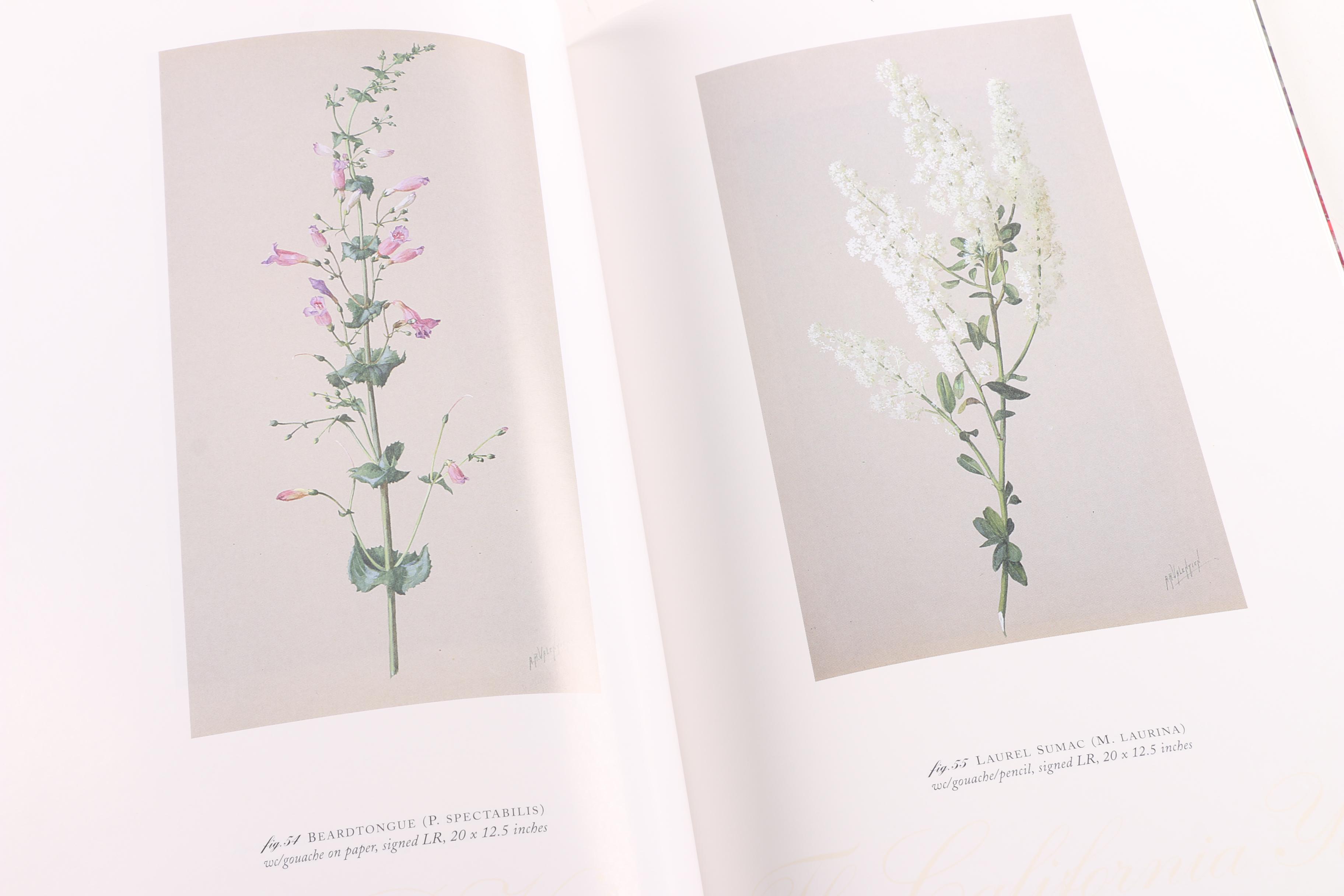 Cincinnati Area Art Book and Catalog Collection