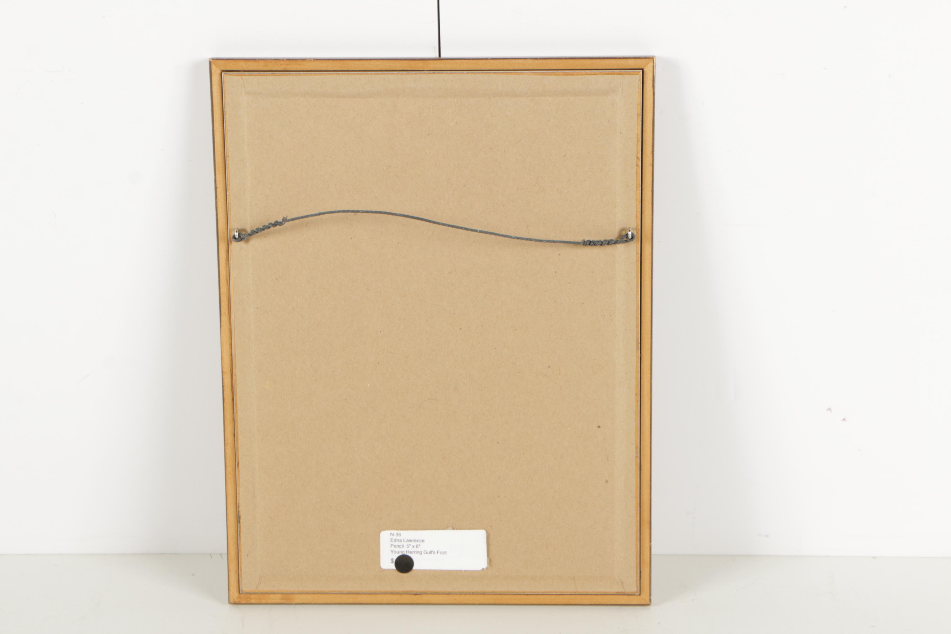 Graphite Drawing Attributed to Edna Lawrence "Young Herring Gull's Foot"