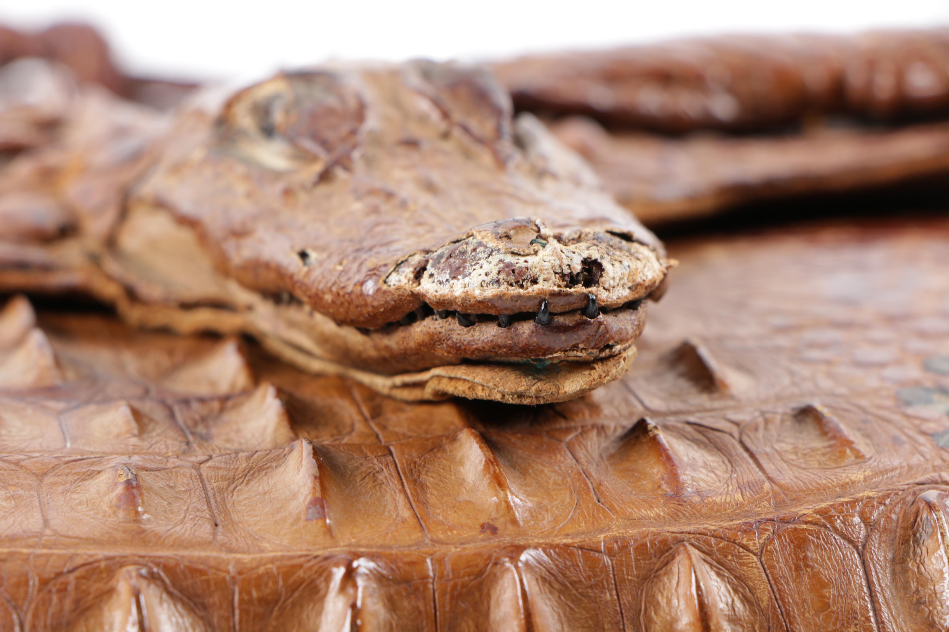 Vintage Alligator Clutch Handbag