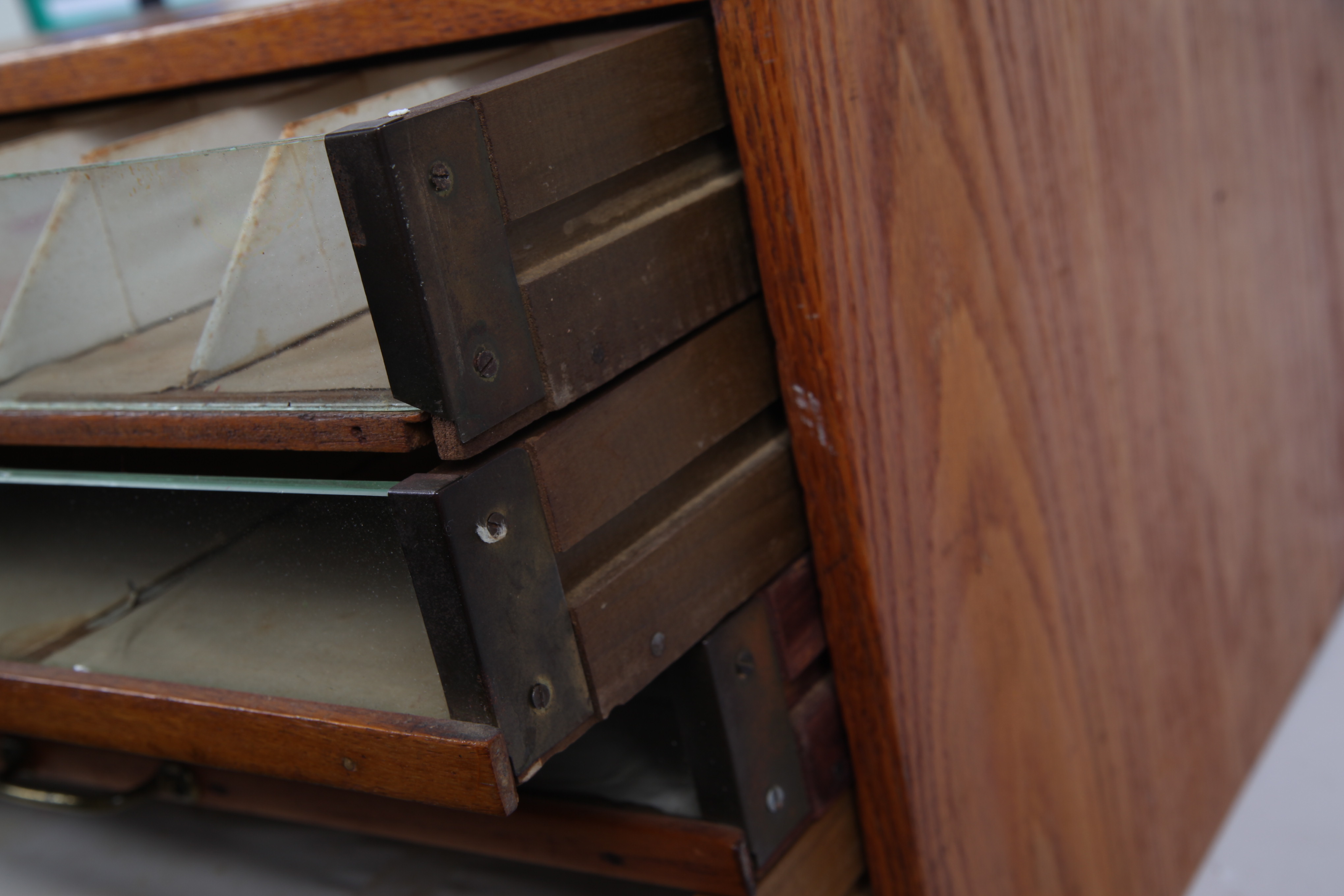 Vintage Oak Specimen Cabinet