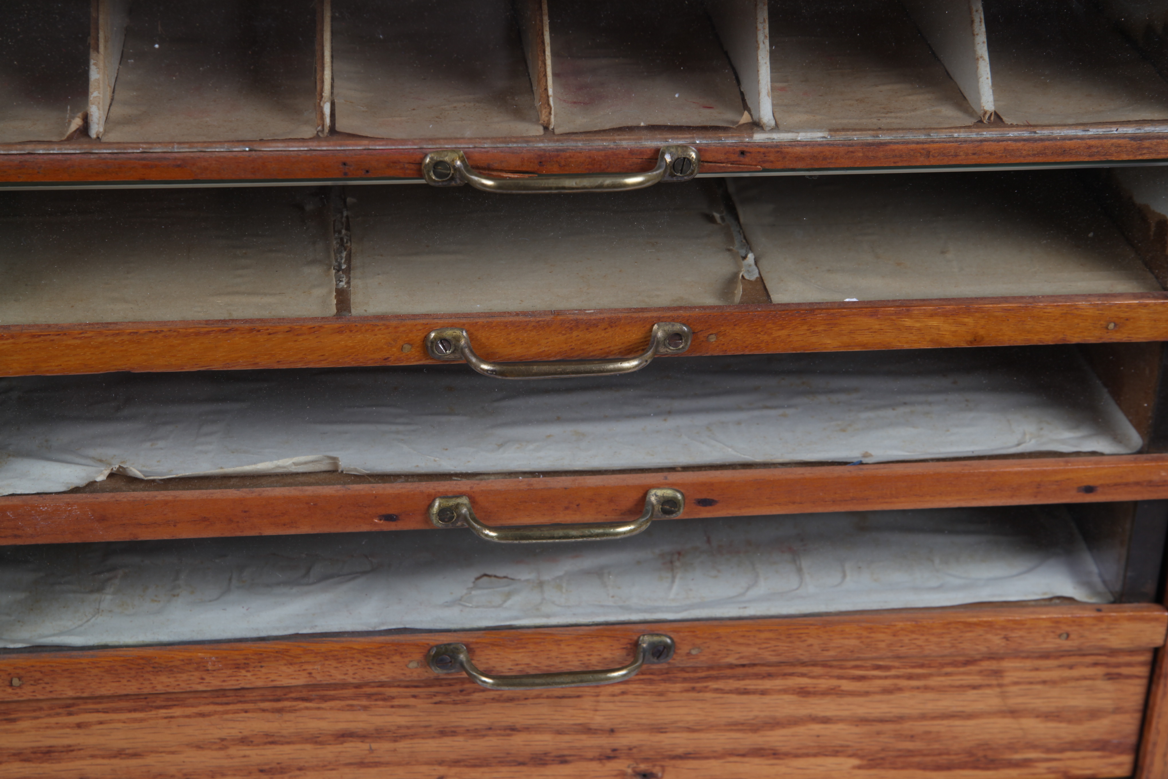 Vintage Oak Specimen Cabinet