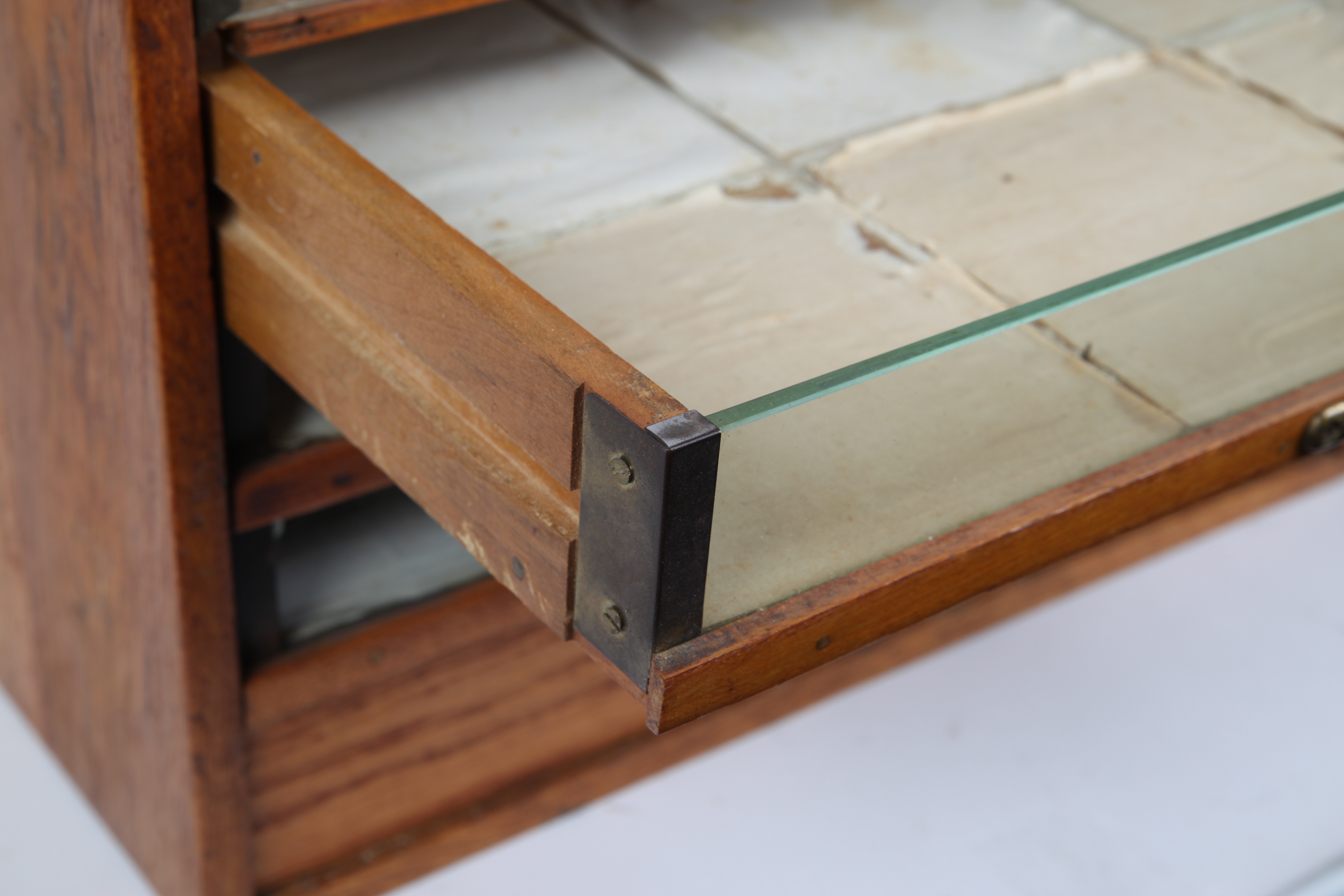 Vintage Oak Specimen Cabinet