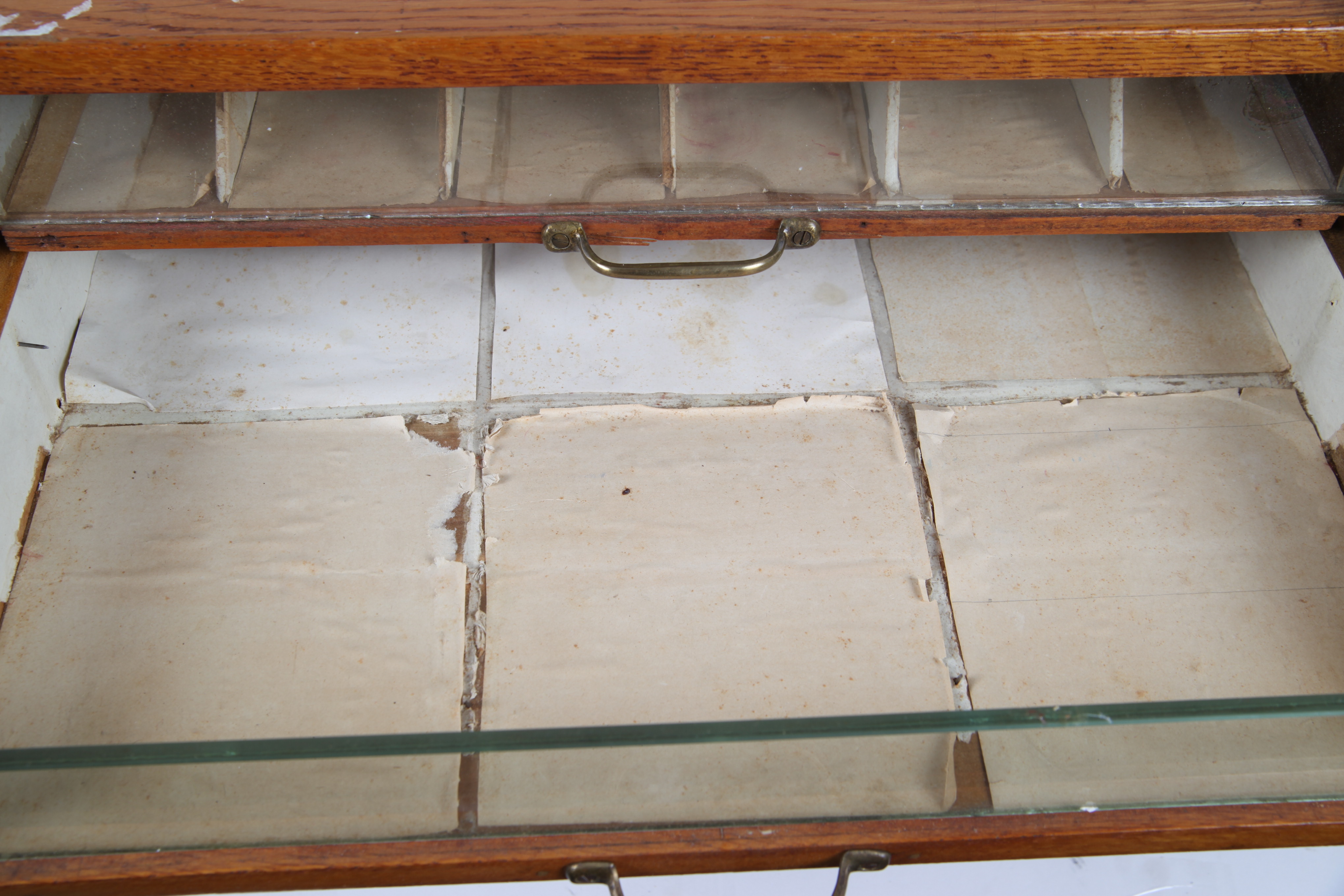 Vintage Oak Specimen Cabinet