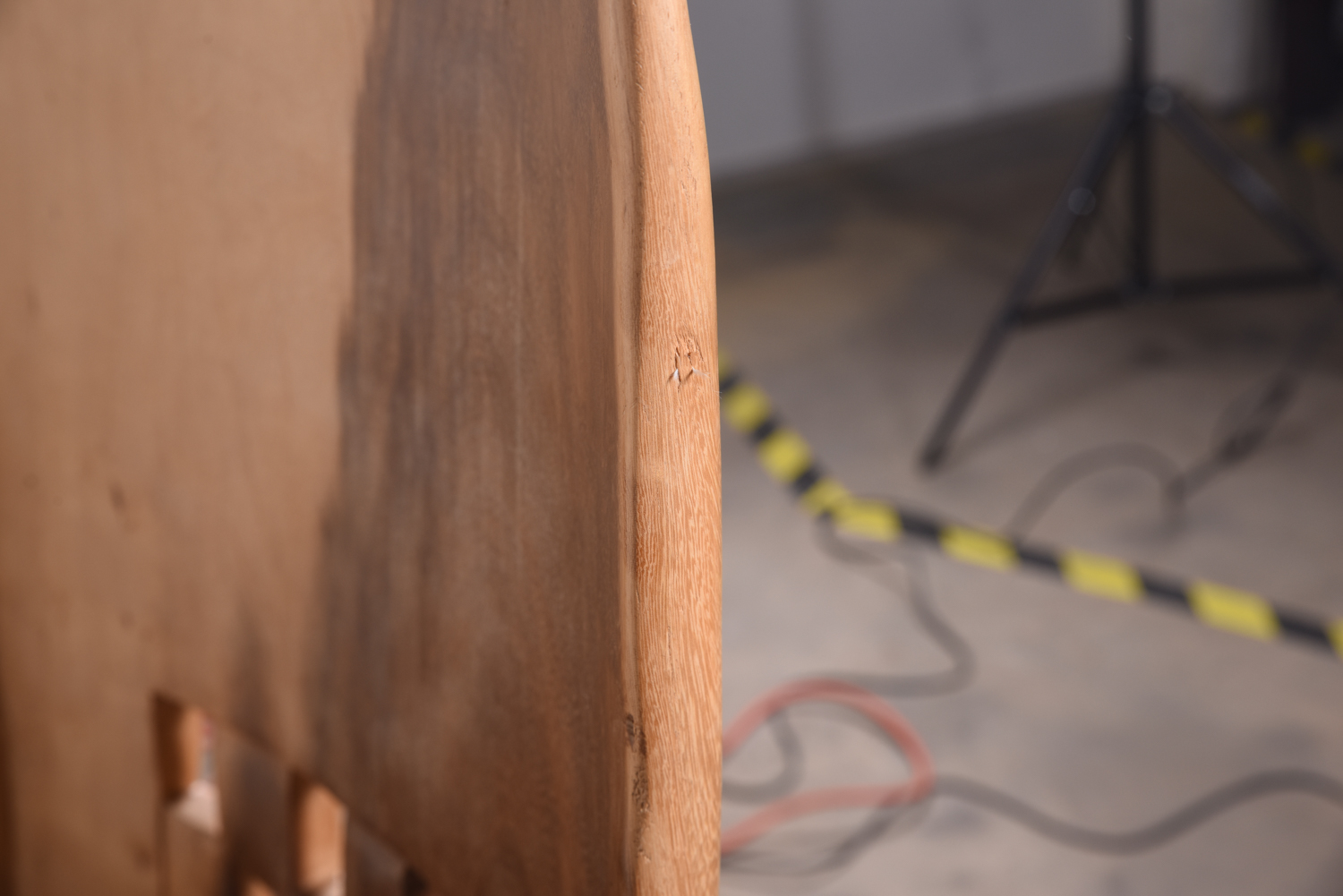 Exotic Wood Lion Chair