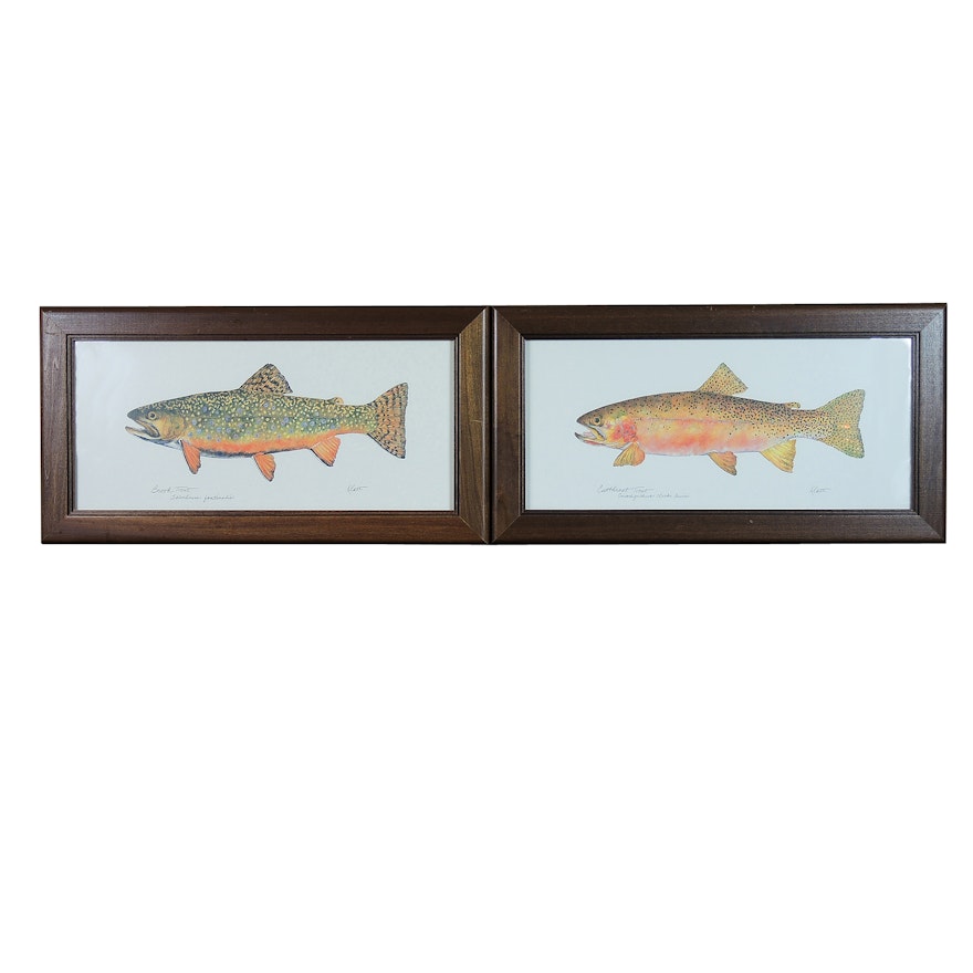 Set of Framed Fish Prints After Eileen Klatt