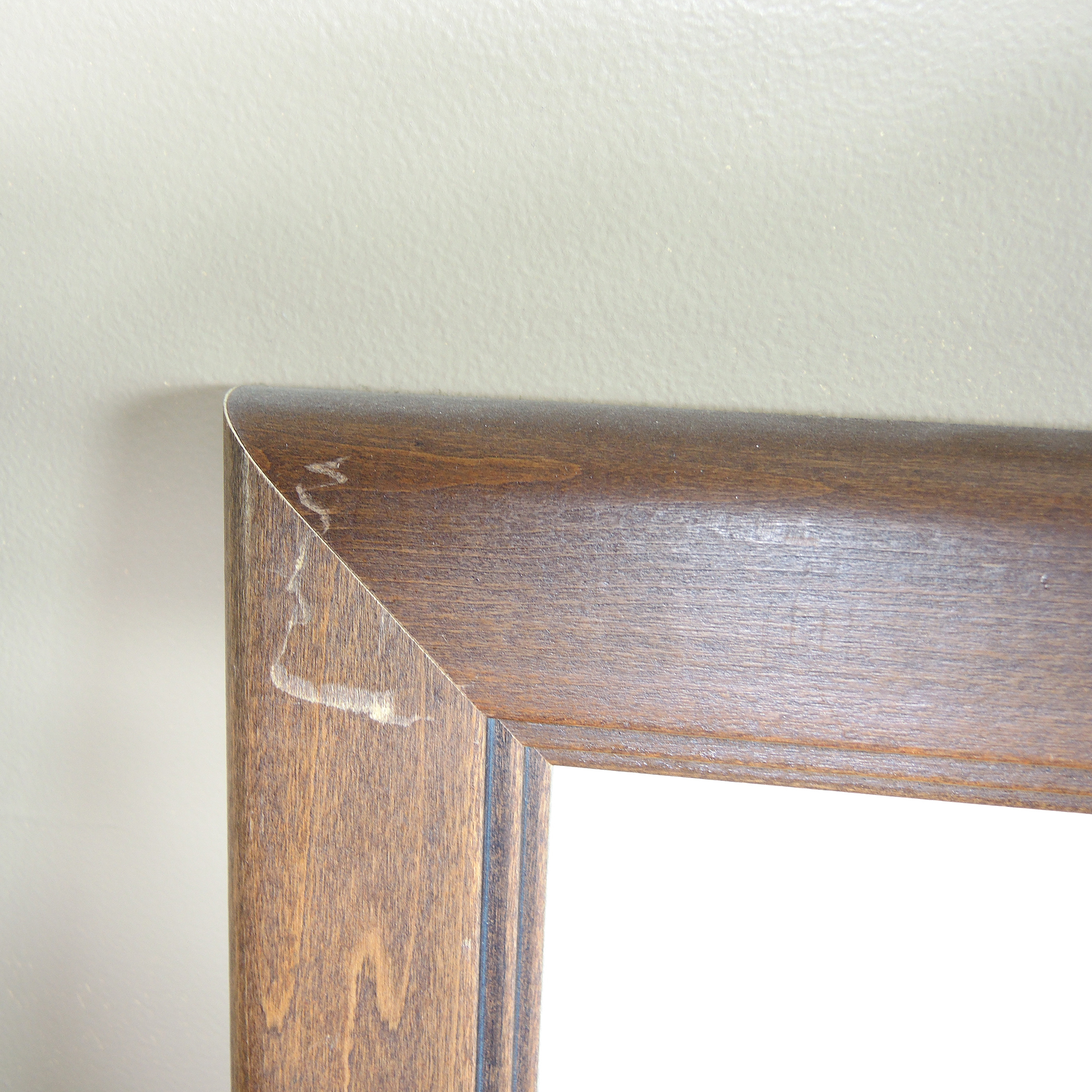 Set of Framed Fish Prints After Eileen Klatt