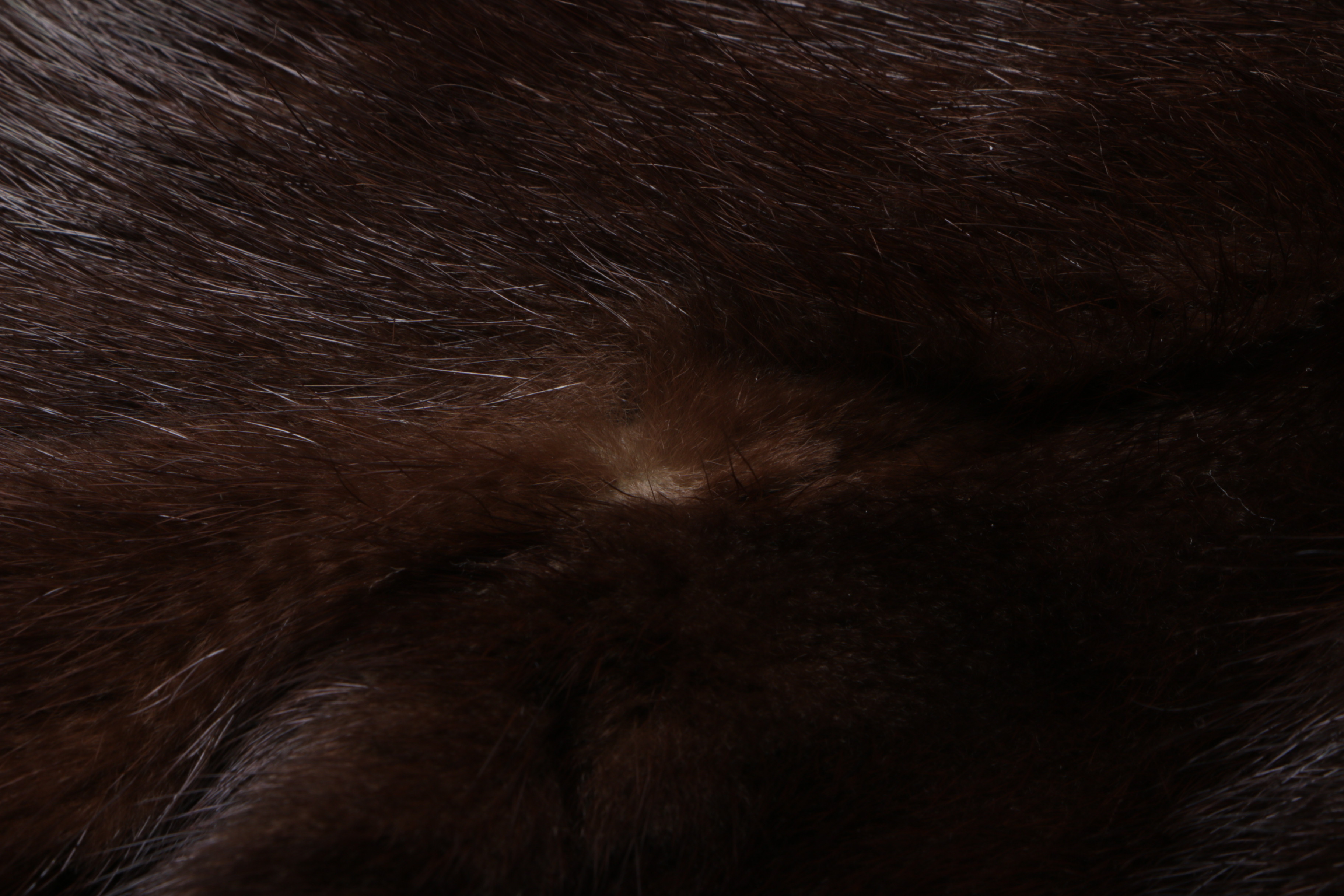 Women's Vintage The Parisian Marten Fur Coat