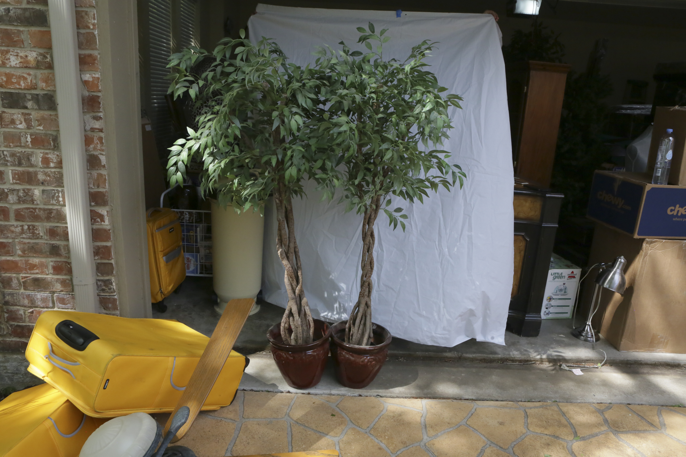 Artificial Trees in Ceramic Pots