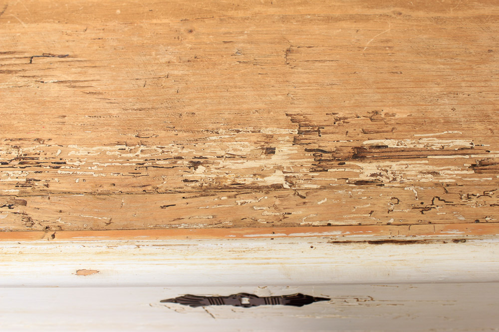 Antique Painted Pine Chest of Drawers