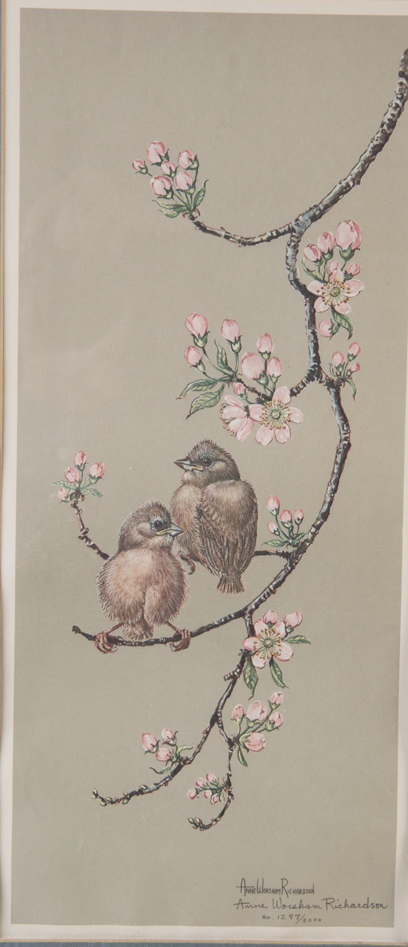 Ann Worsham Richardson Limited Edition Signed Offset Lithographs