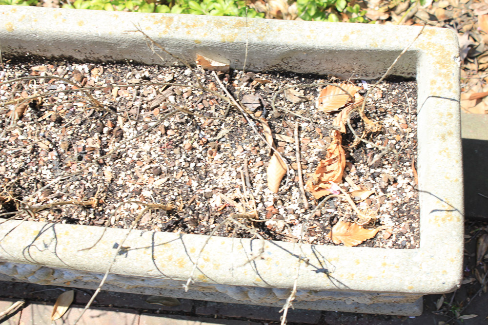 Outdoor Cement Pieces