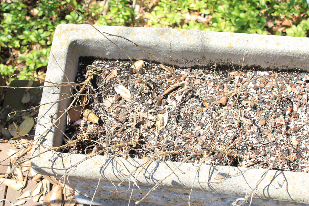 Outdoor Cement Pieces