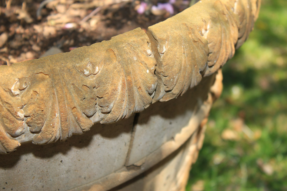 Pair of Cement Planters with Plants