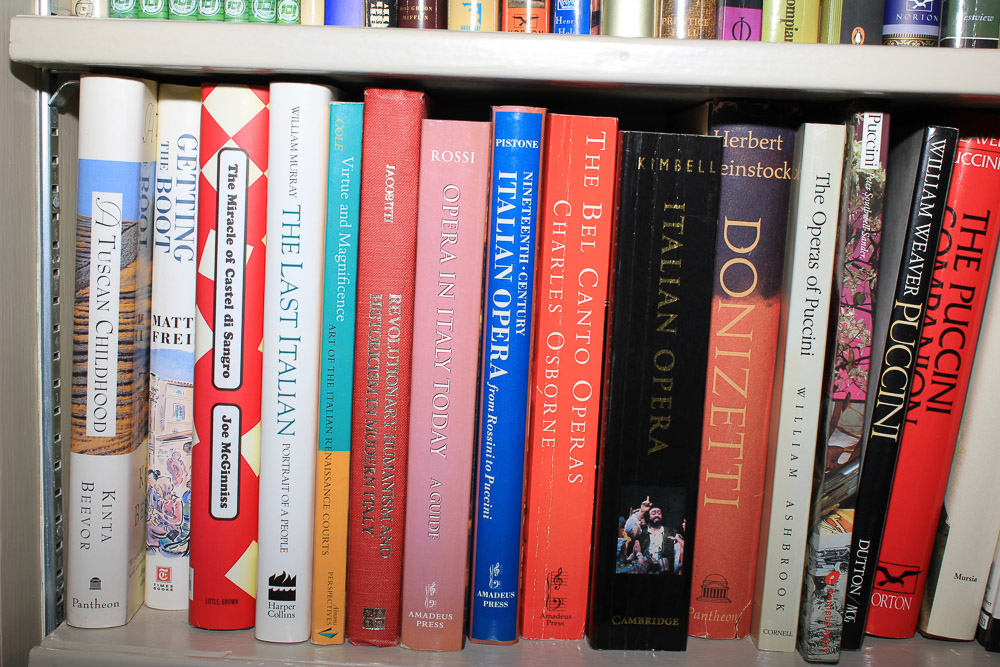 Non-Fiction Travel and Culture, Politics, James A. Michener Fiction and More