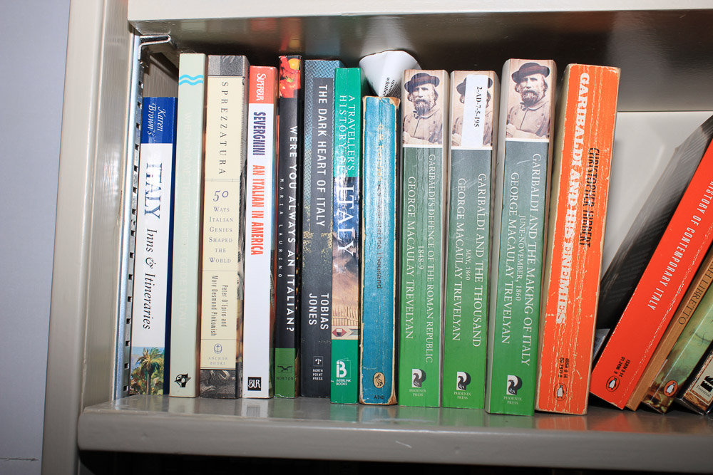 Non-Fiction Travel and Culture, Politics, James A. Michener Fiction and More
