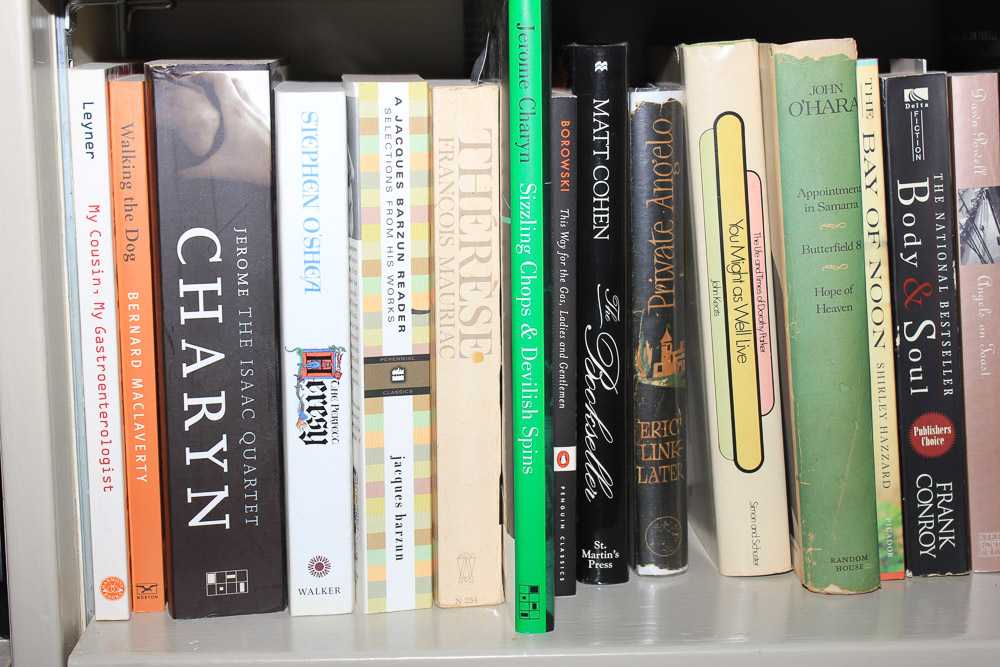 Non-Fiction Travel and Culture, Politics, James A. Michener Fiction and More