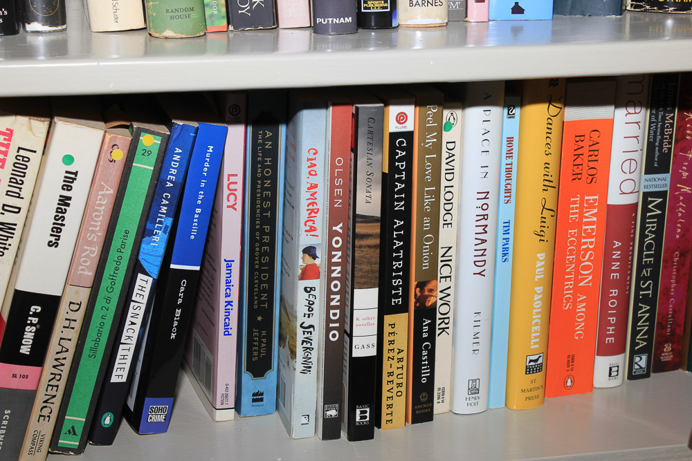 Non-Fiction Travel and Culture, Politics, James A. Michener Fiction and More