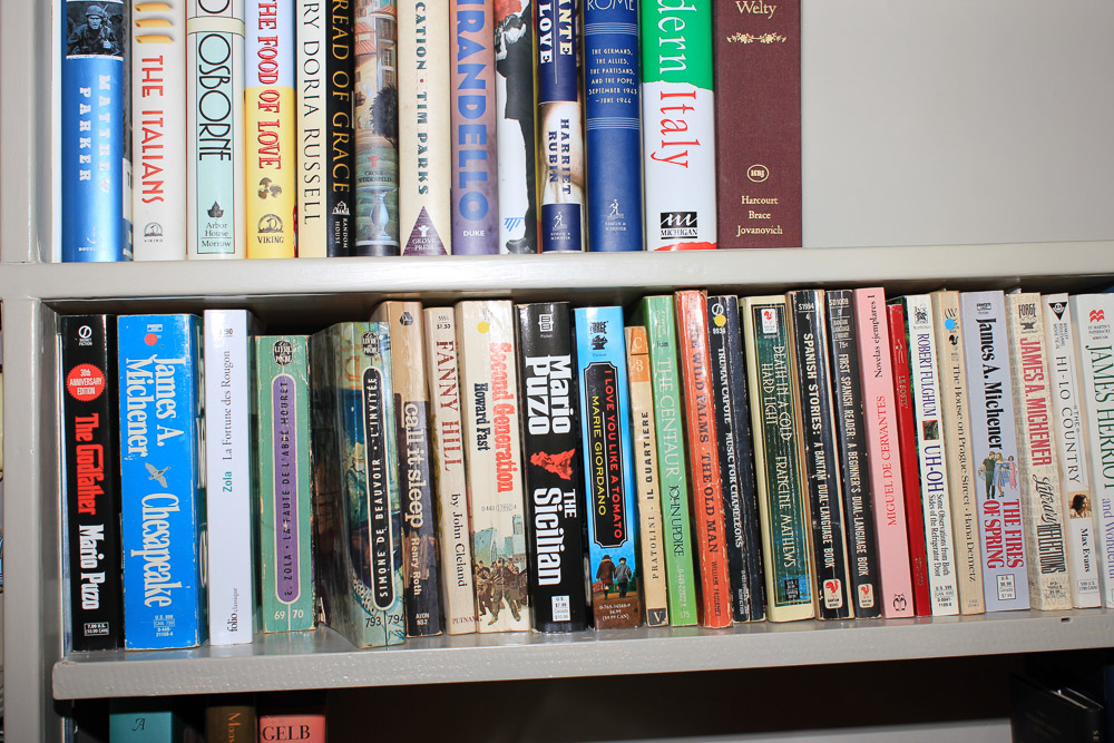 Non-Fiction Travel and Culture, Politics, James A. Michener Fiction and More