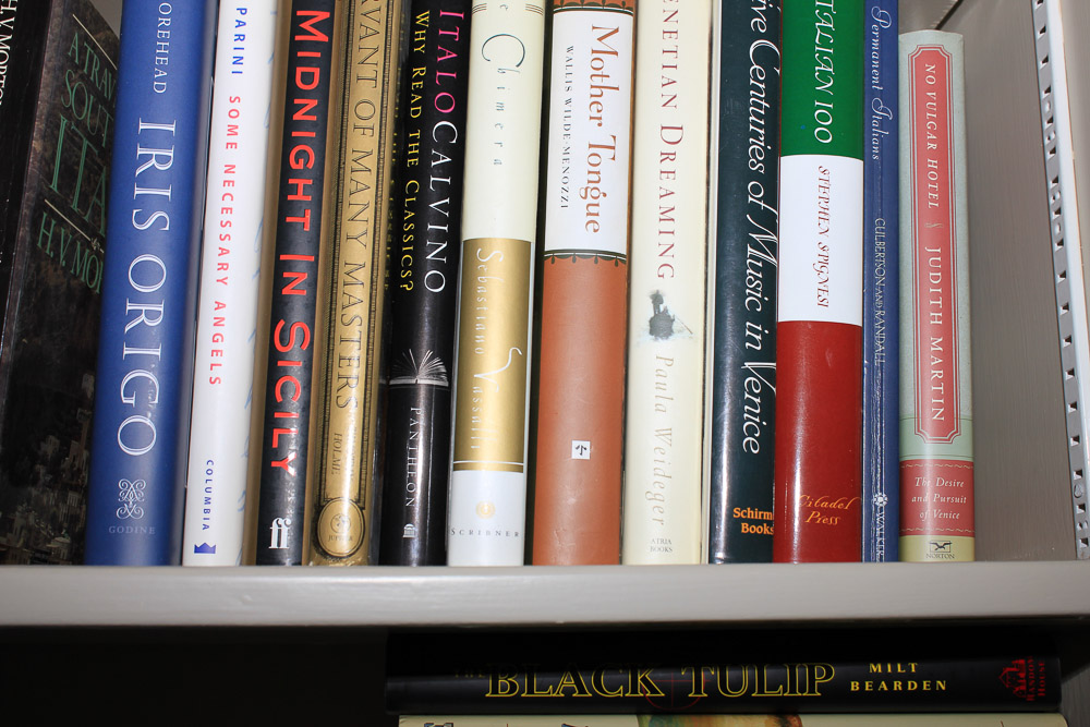 Non-Fiction Travel and Culture, Politics, James A. Michener Fiction and More