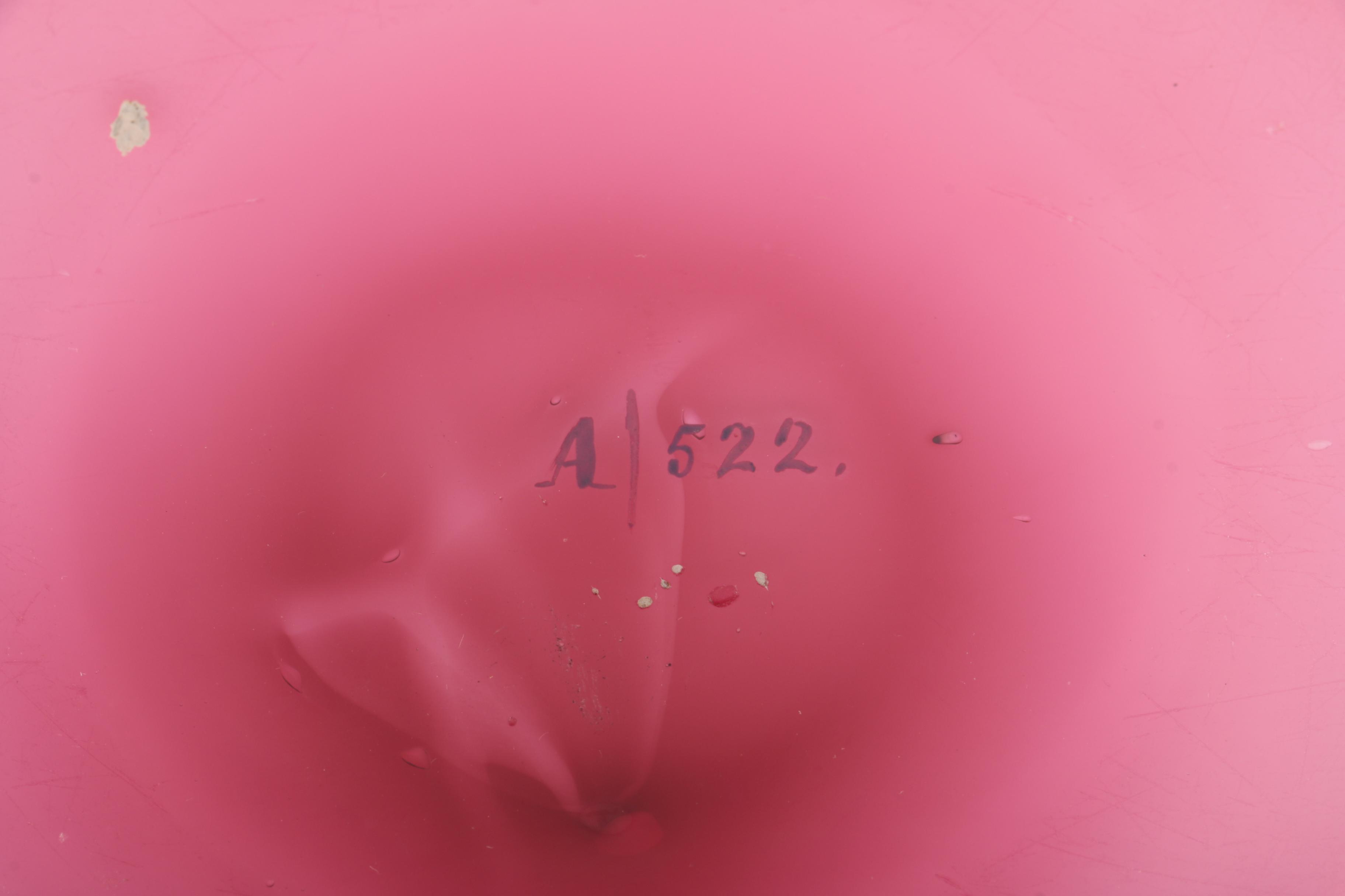 19th C. Painted Peacock and Jeweled Satin Glass Bowl