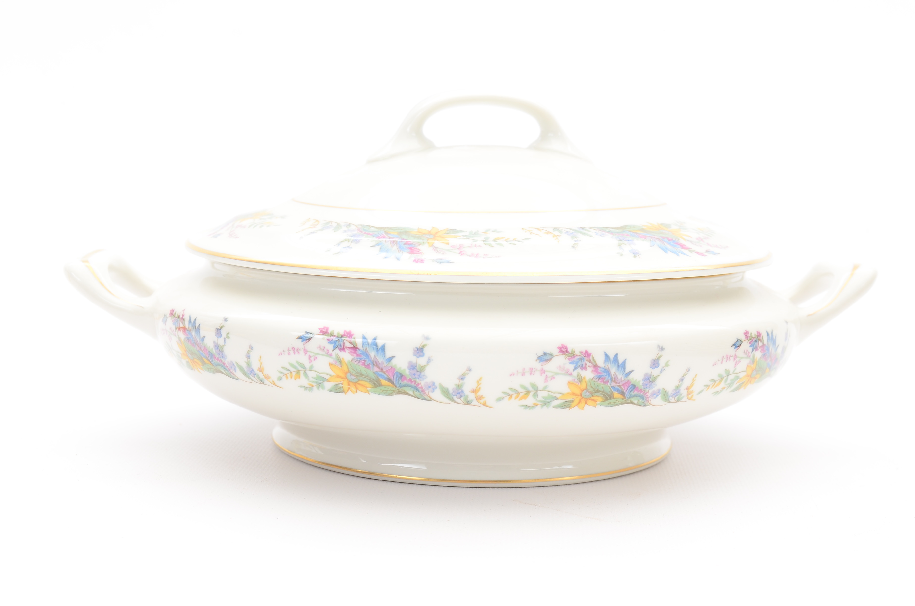 Arcadian Fine China "Spring Glory" China Set