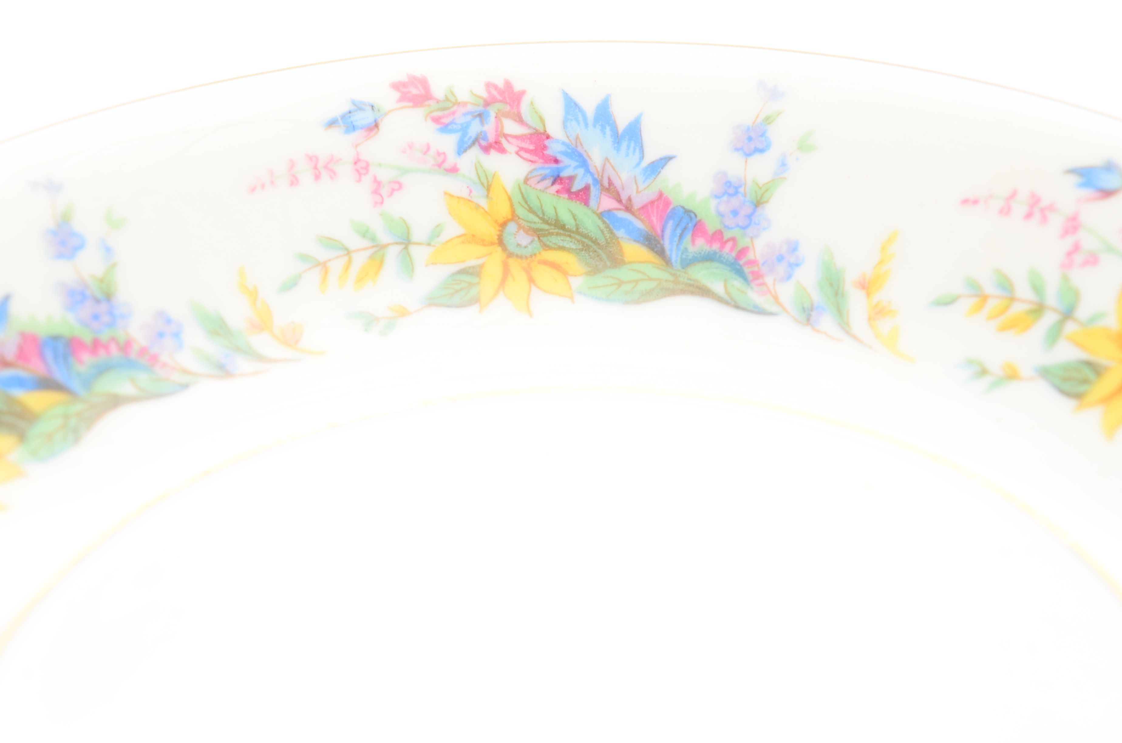 Arcadian Fine China "Spring Glory" China Set